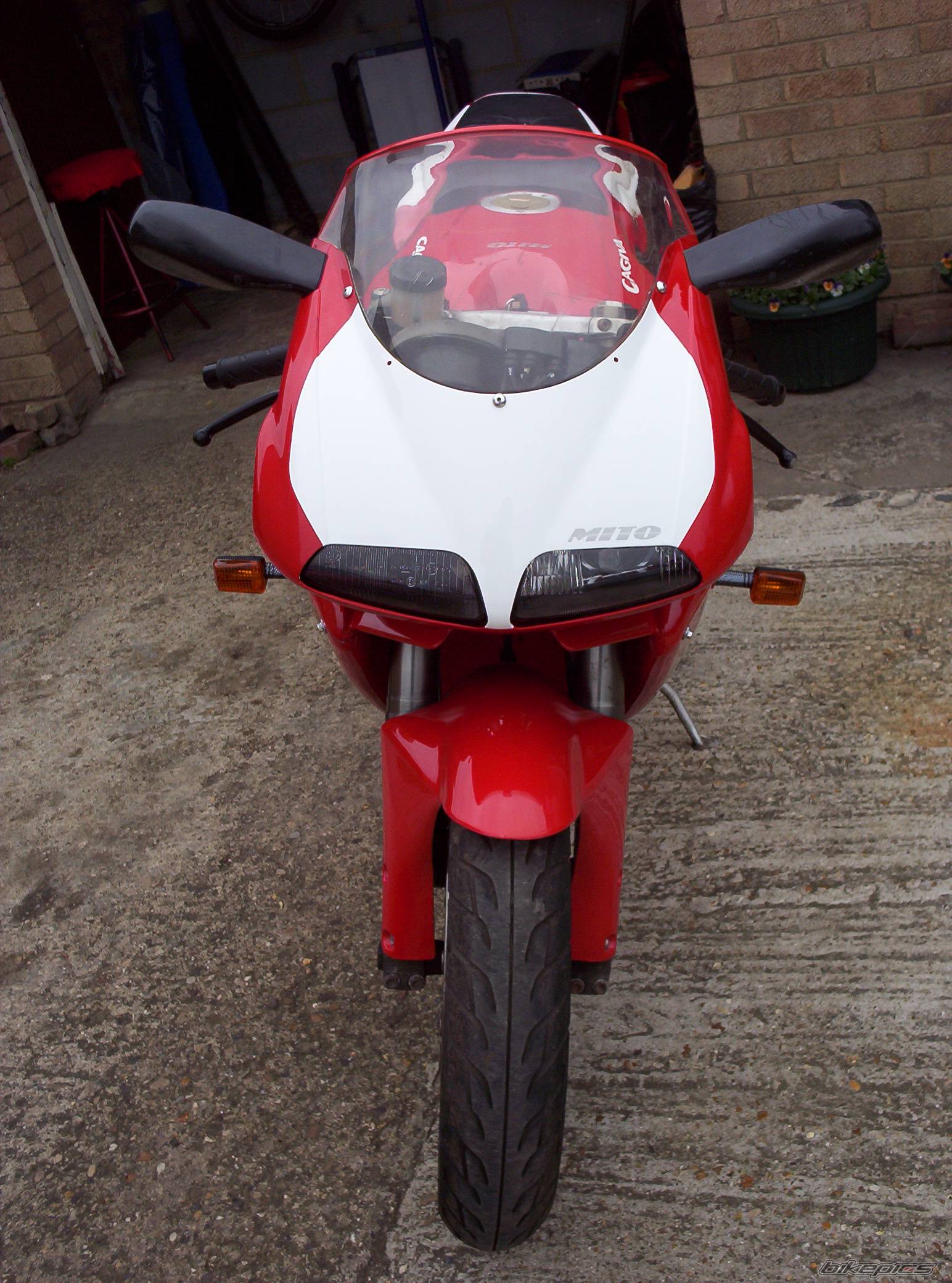 Photo 126517