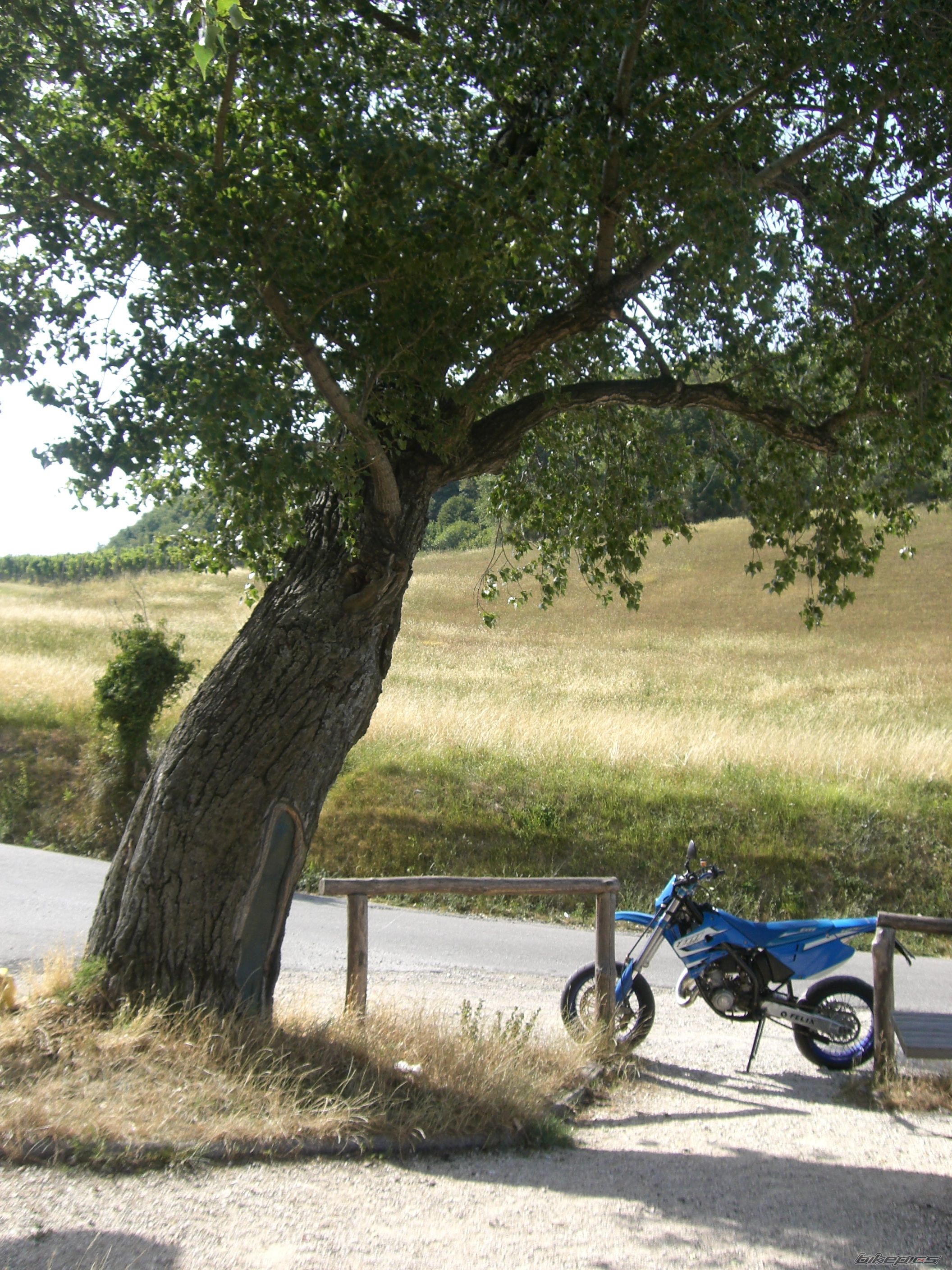 Photo 1265174