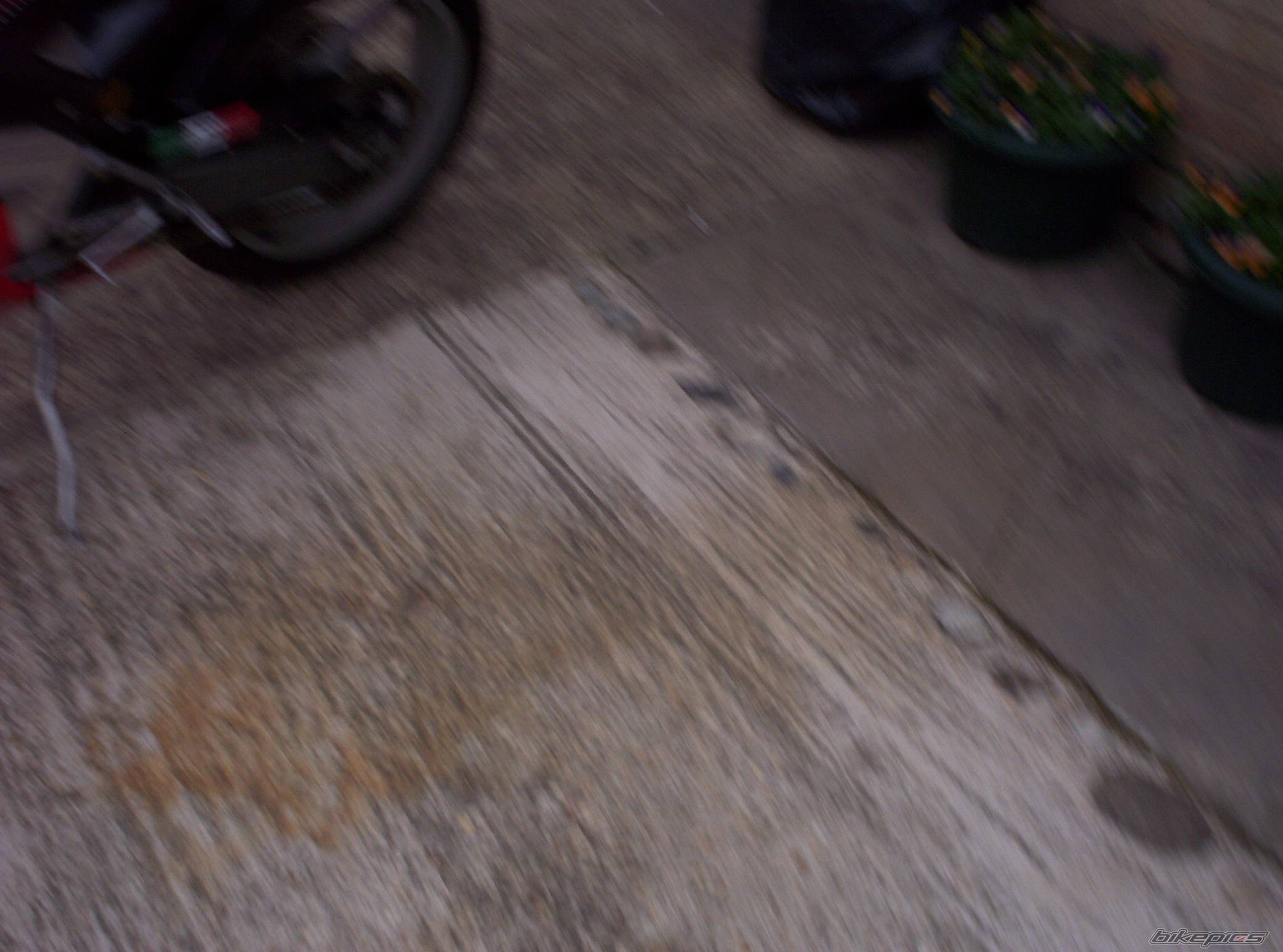 Photo 126518
