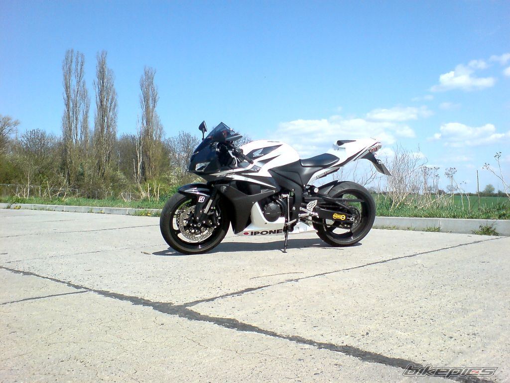 Photo 1265199
