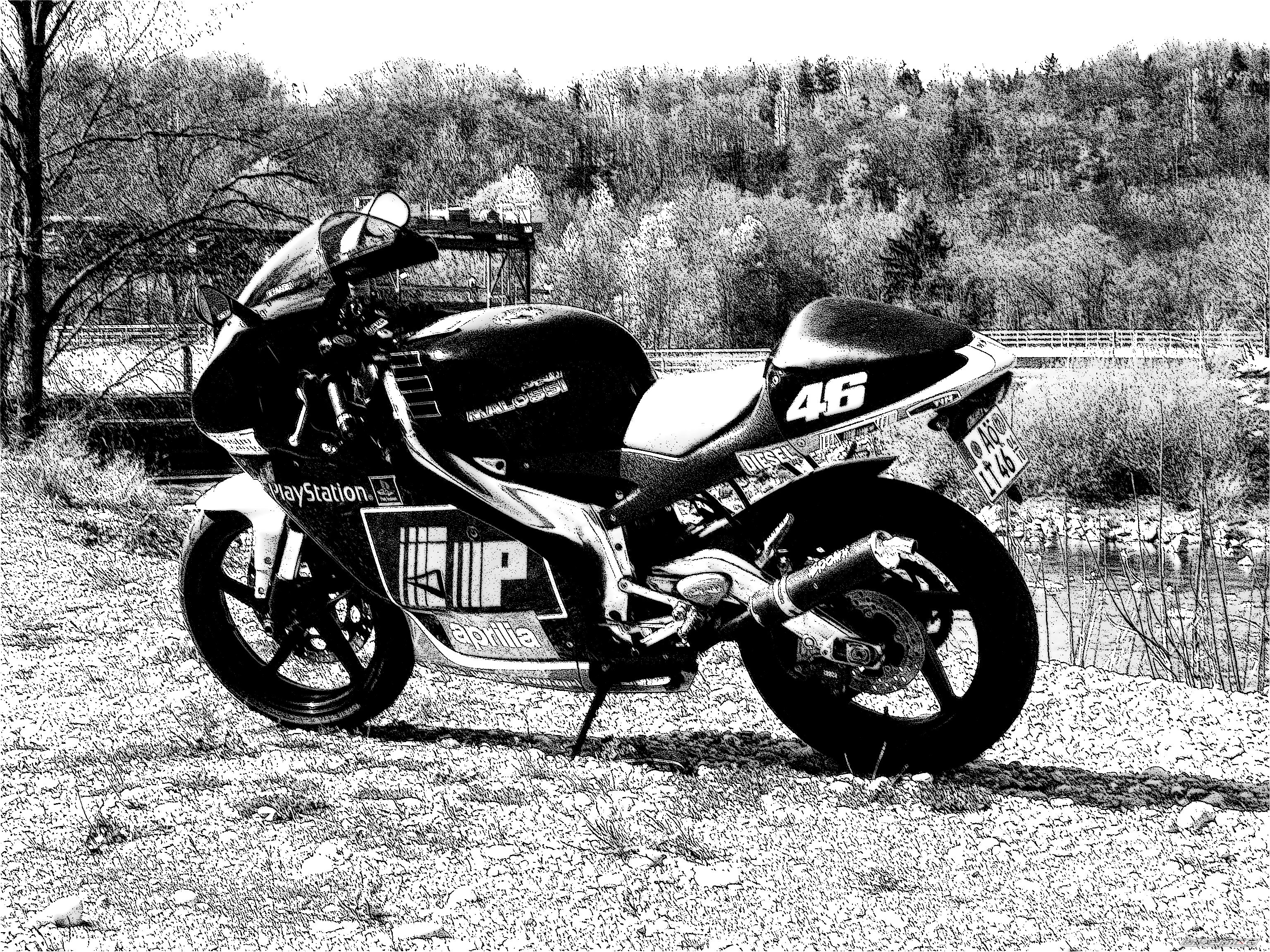 Photo 1265233