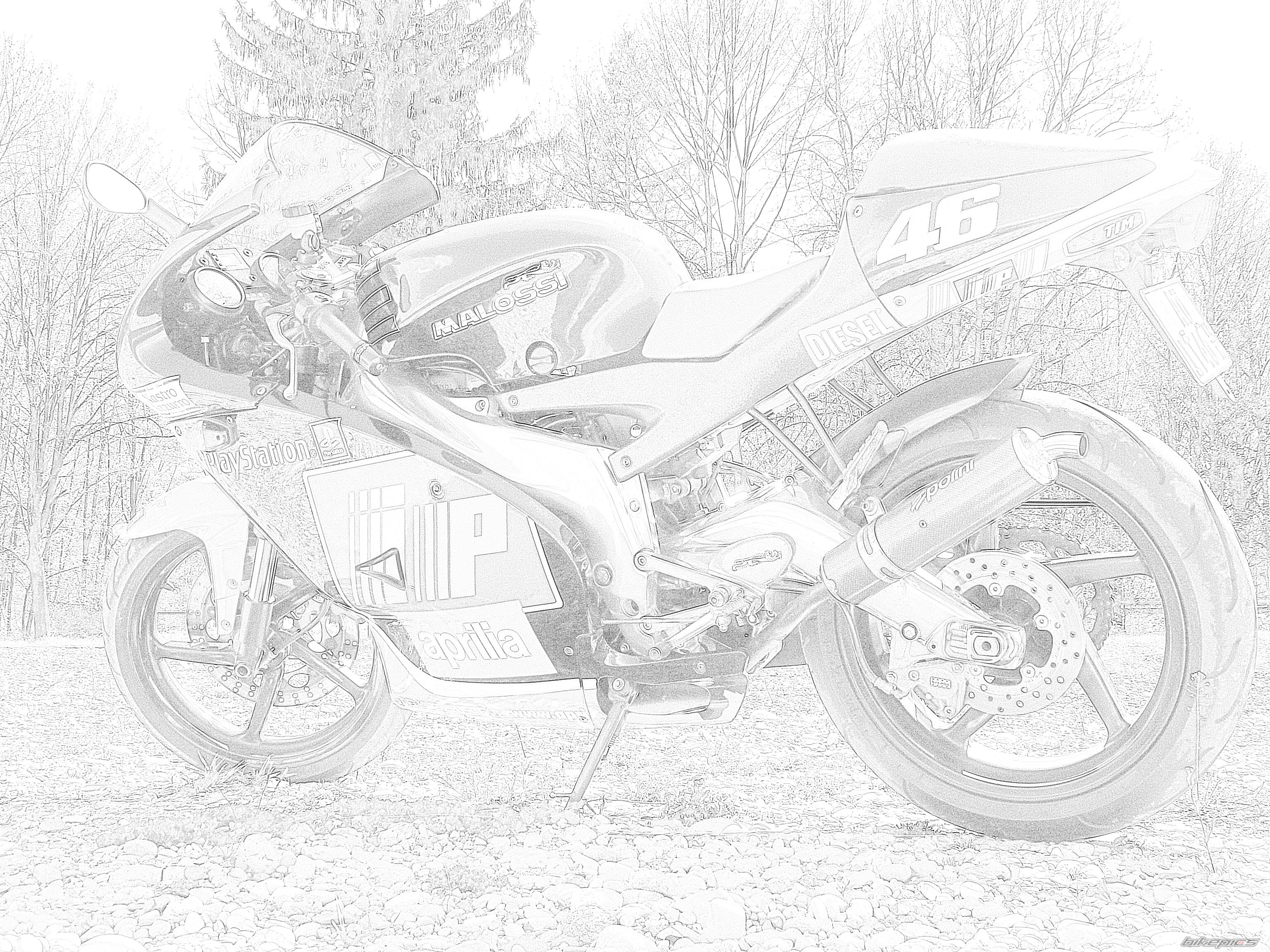 Photo 1265240