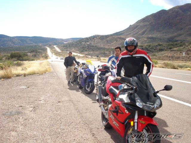 Photo 1265331