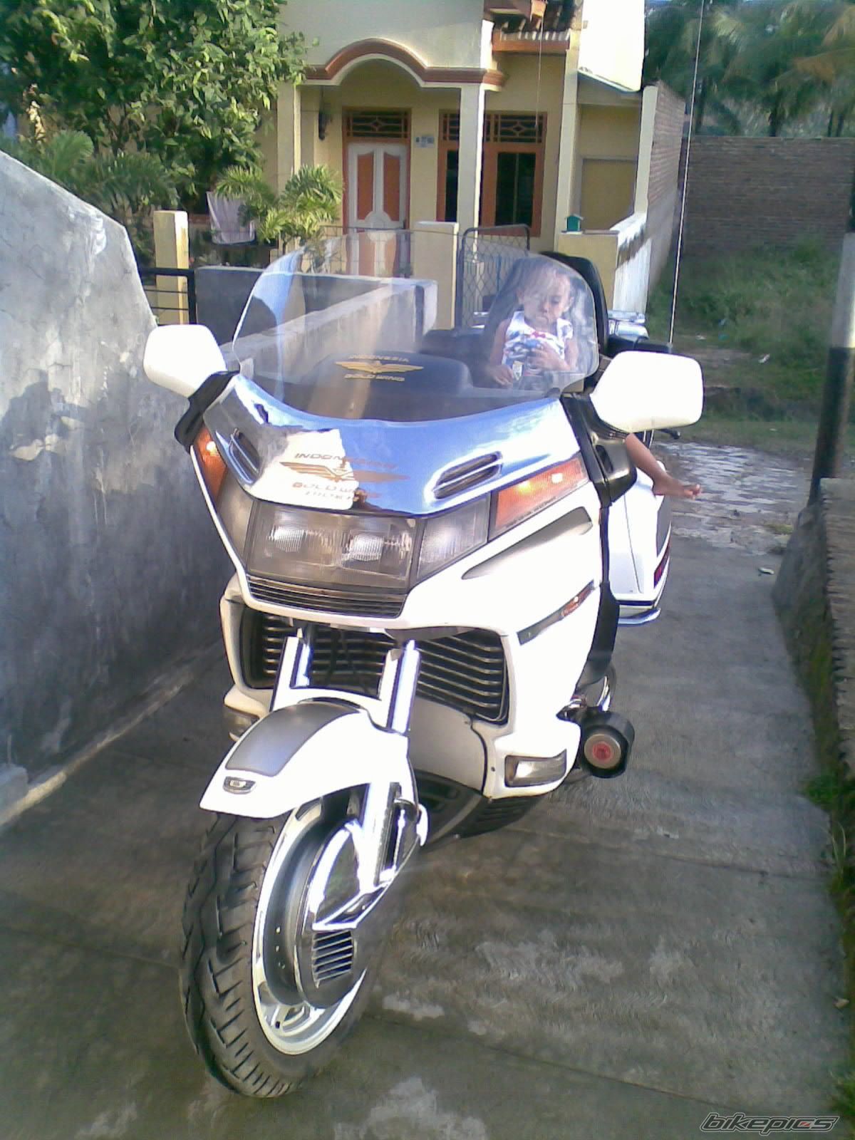 Photo 1265401