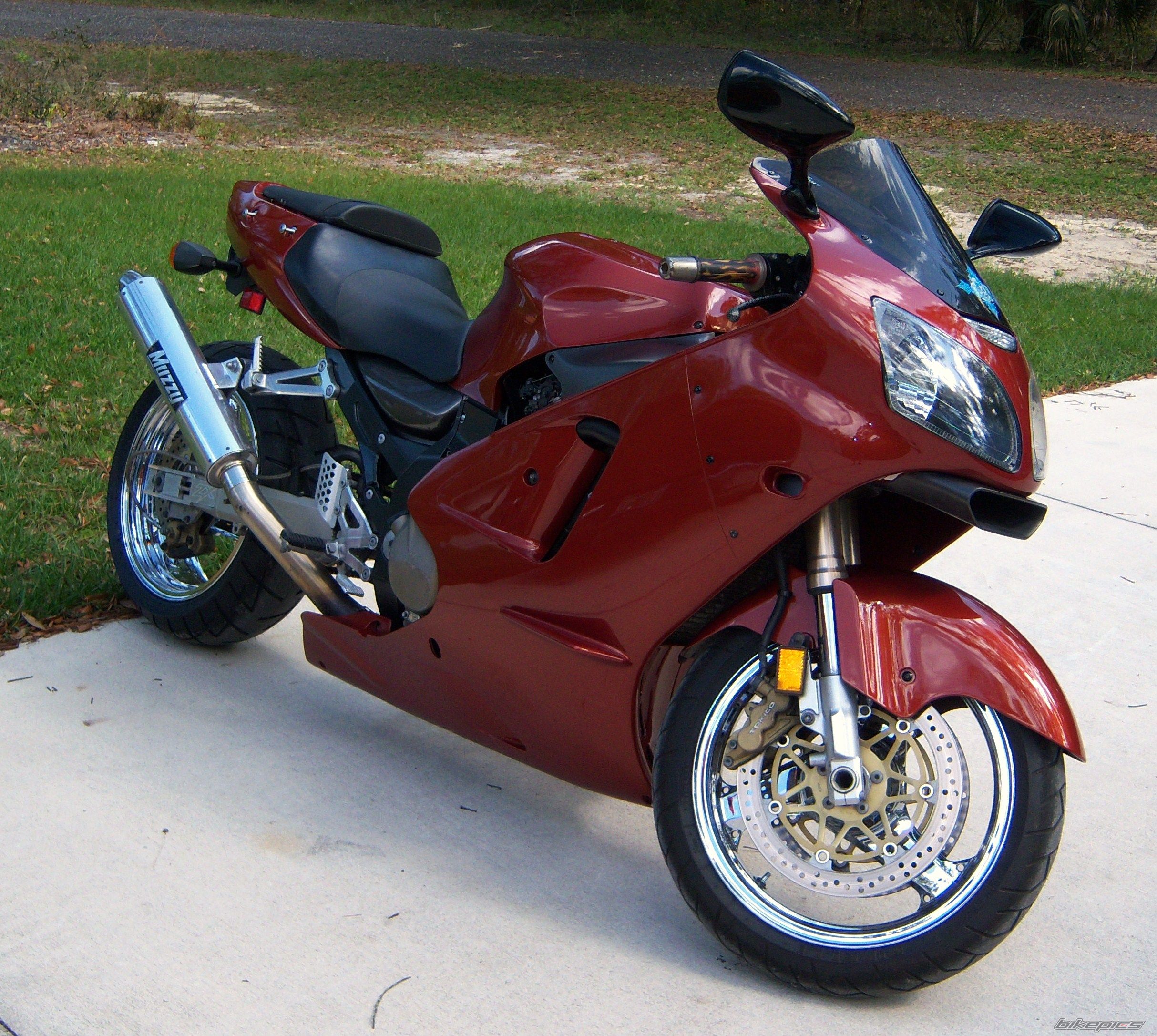 Photo 1265409
