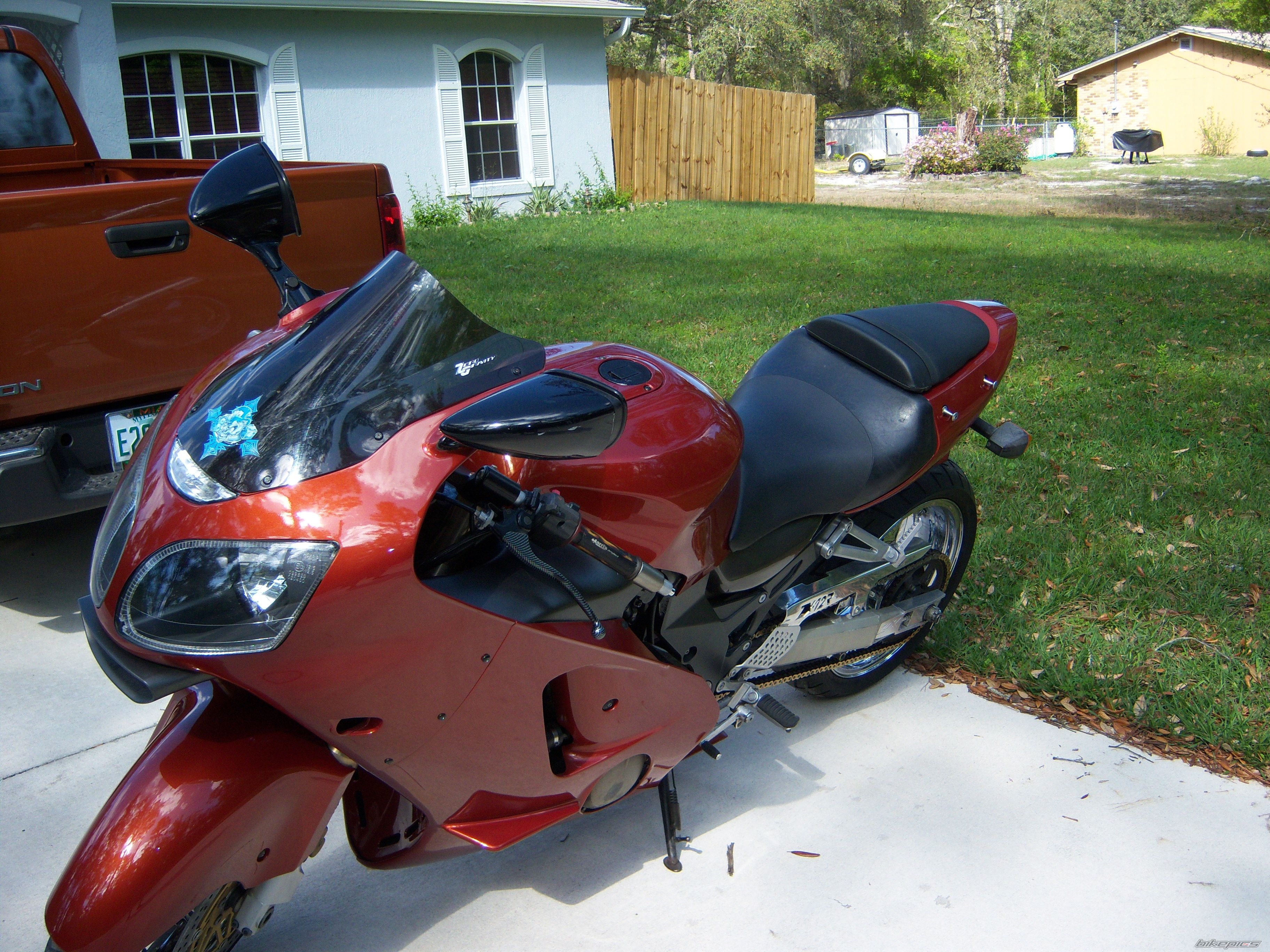 Photo 1265413