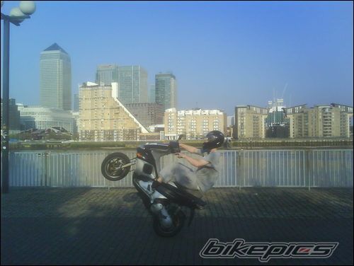 Photo 1265550