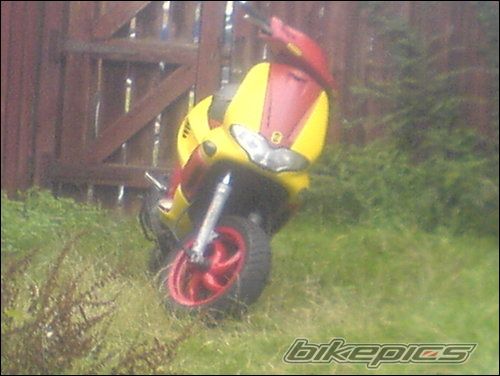 Photo 1265570