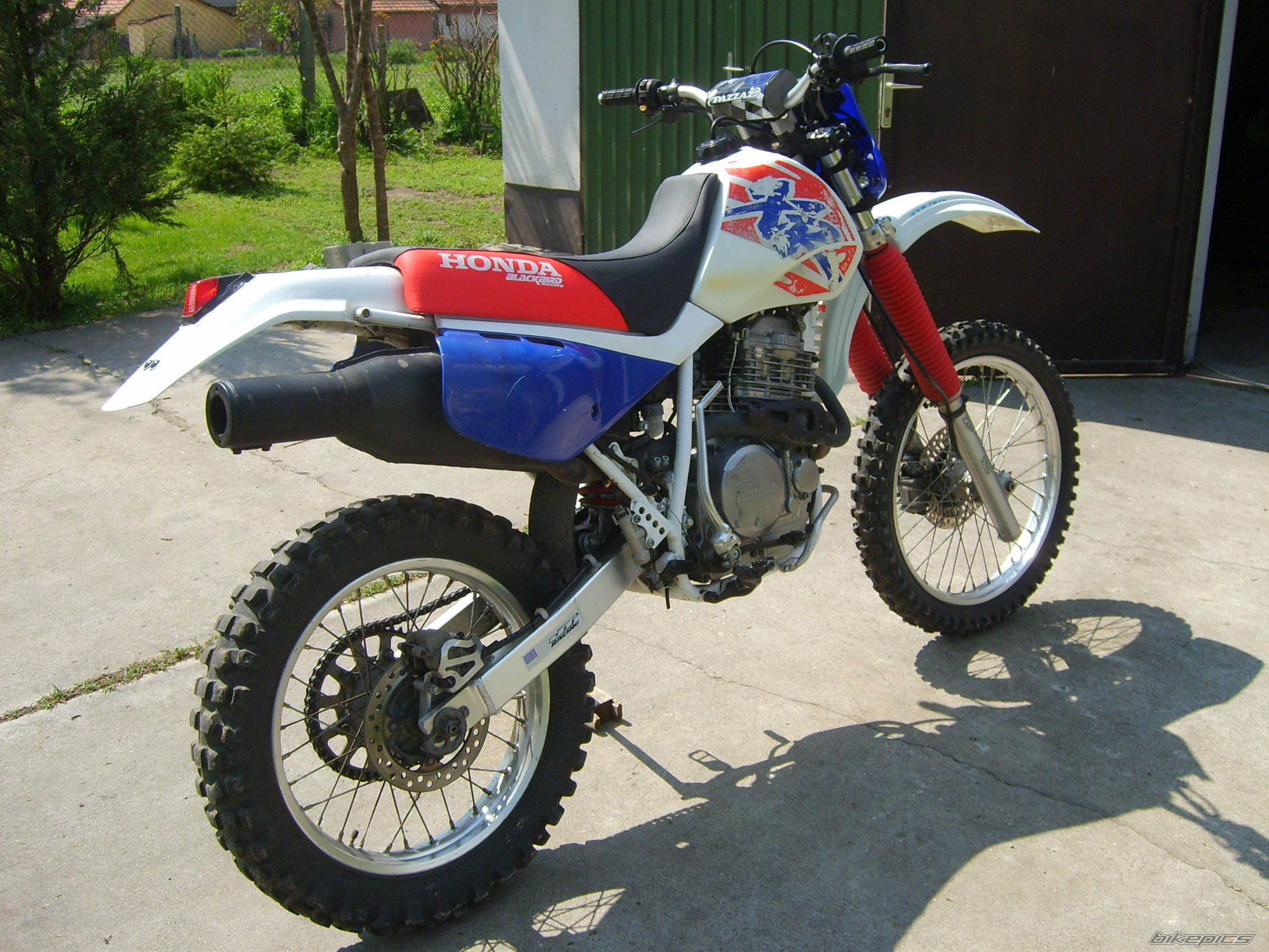 Photo 1265583