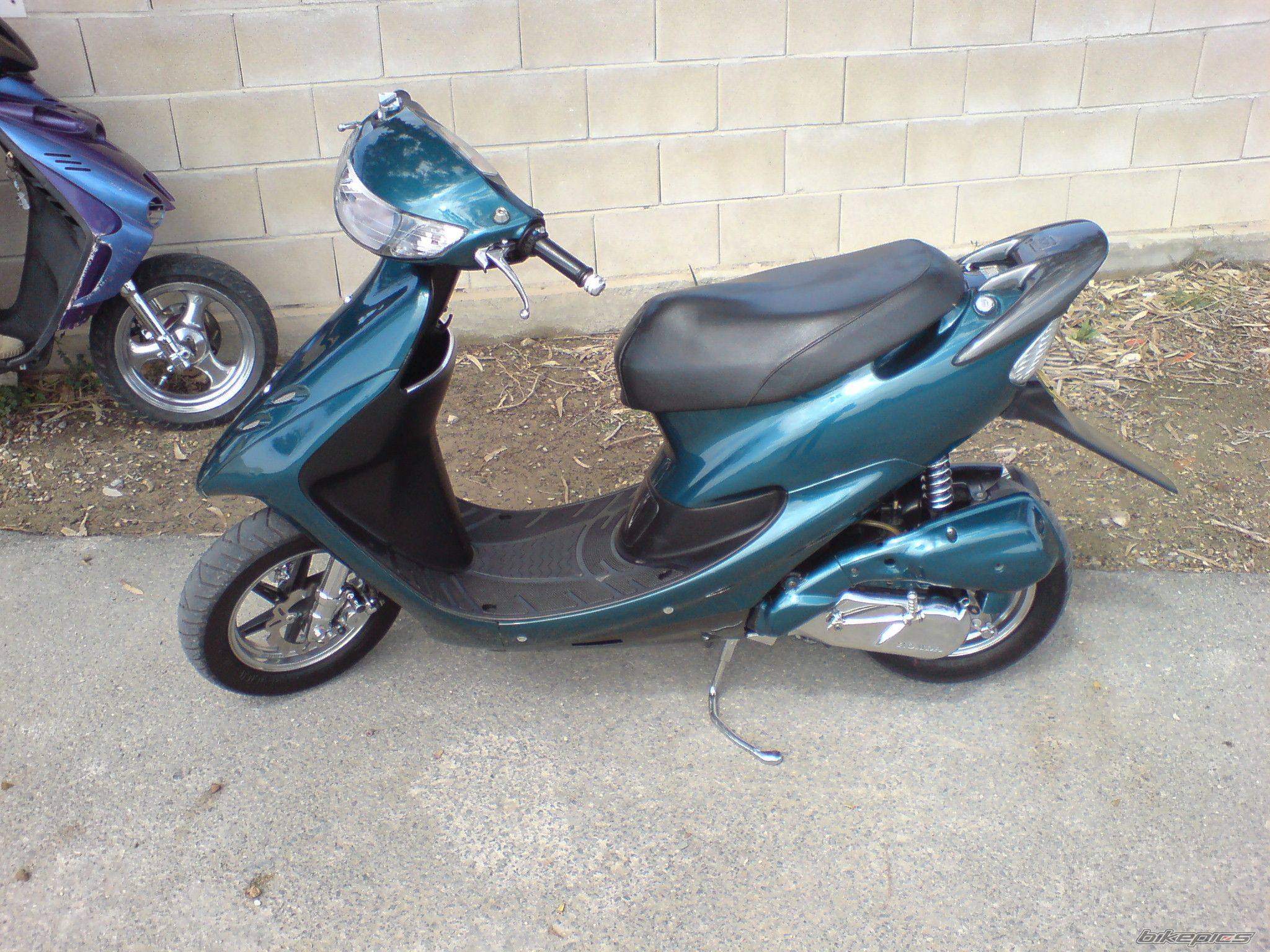 Photo 1265585