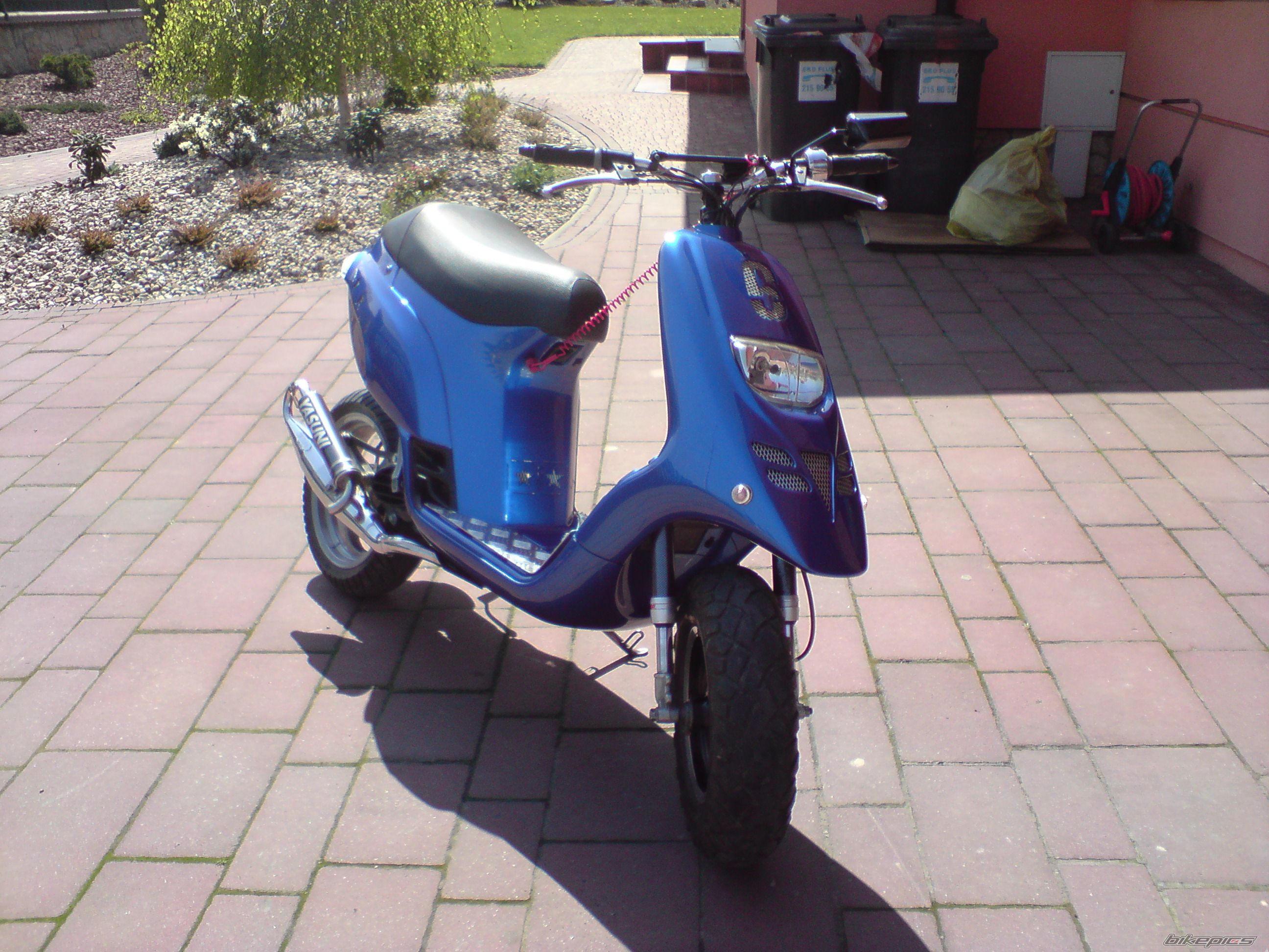 Photo 1265675