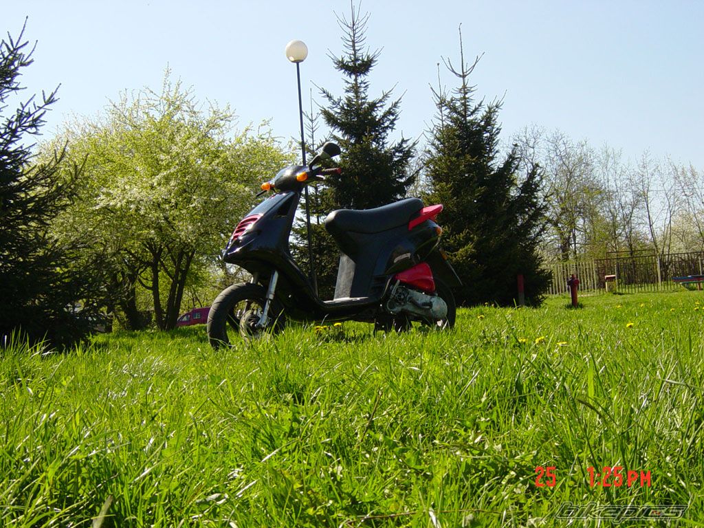 Photo 1265686