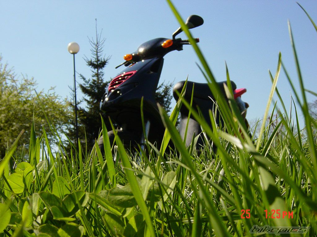 Photo 1265689