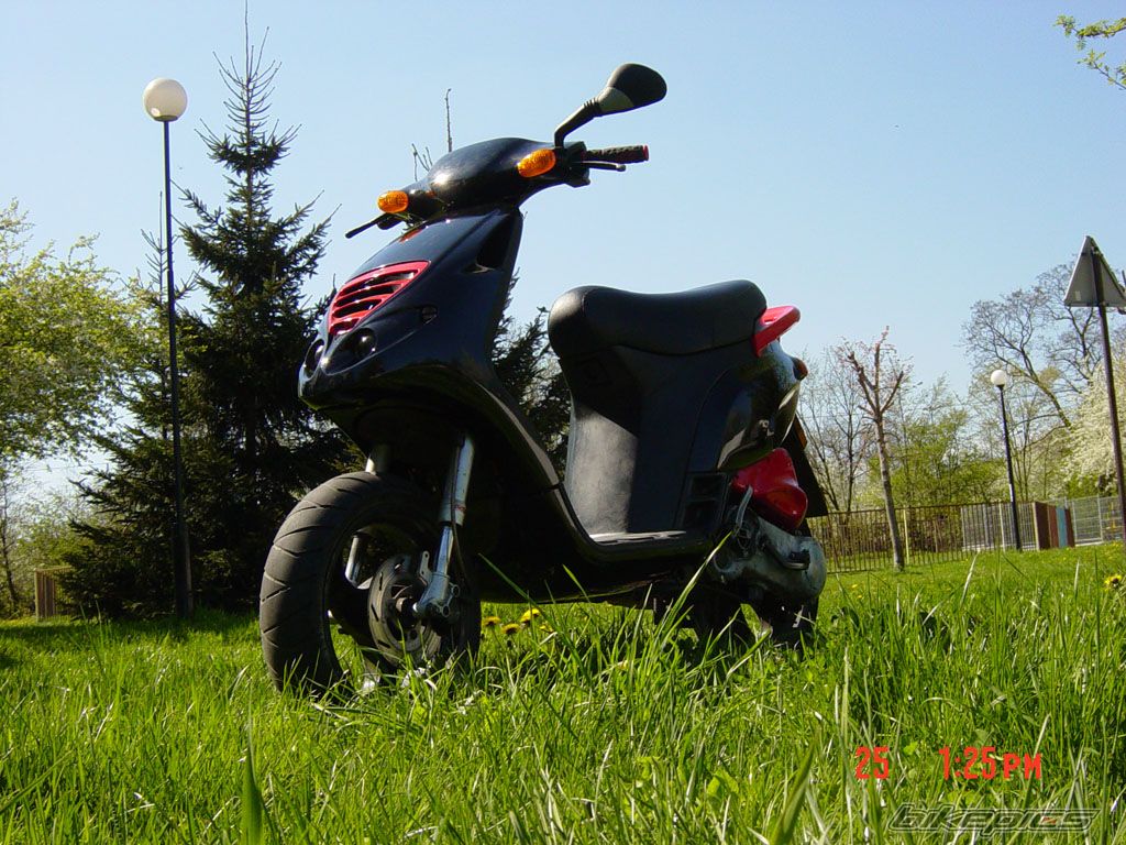 Photo 1265690