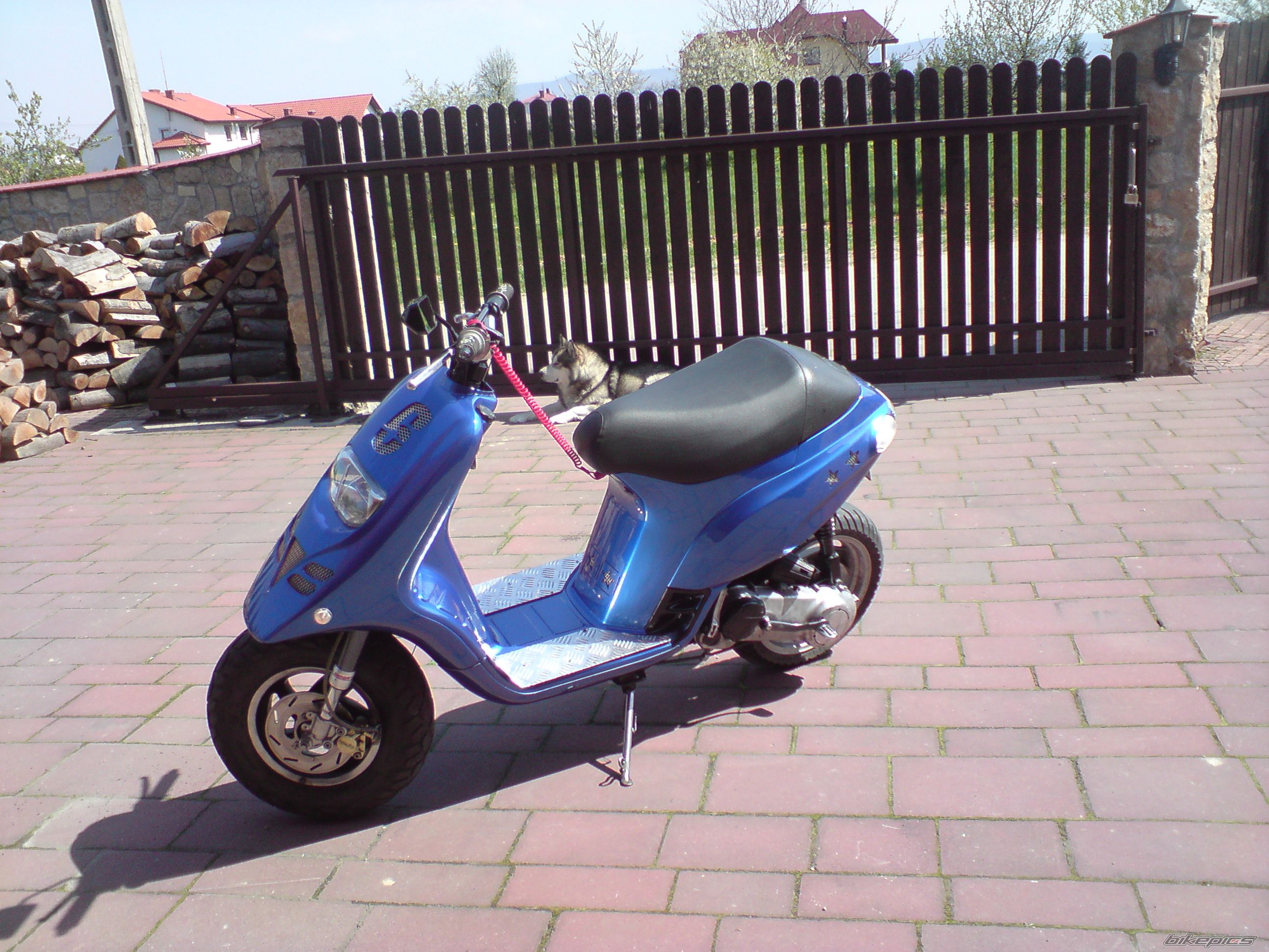 Photo 1265698