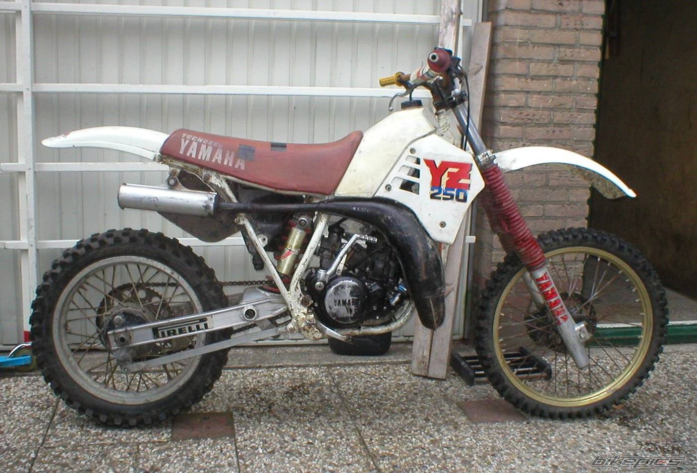 Photo 126572