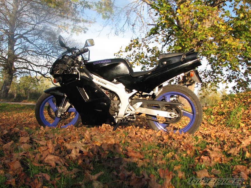 Photo 1265724