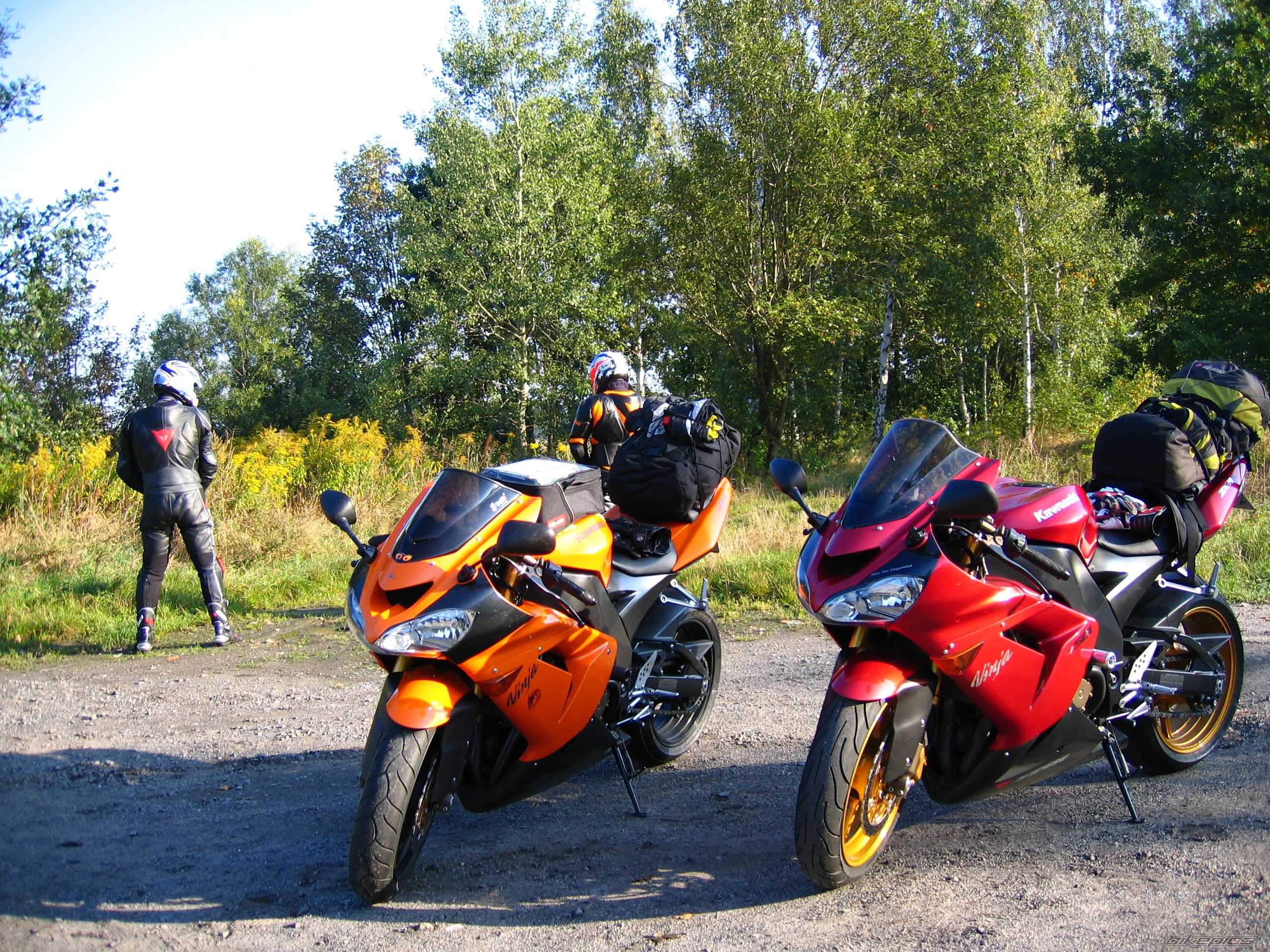 Photo 1265746
