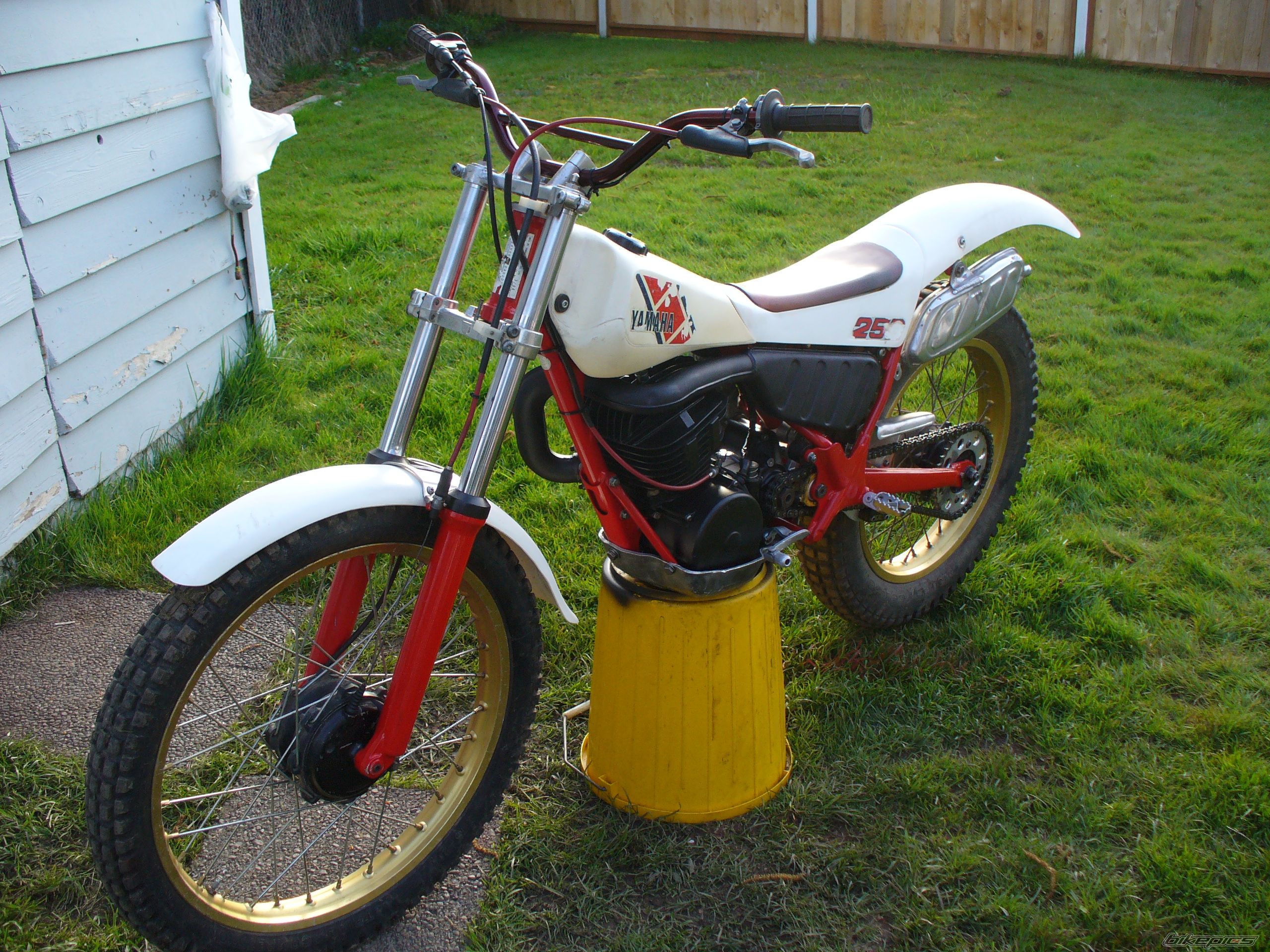 Photo 1265767