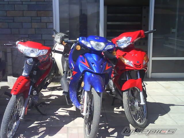 Photo 1265770