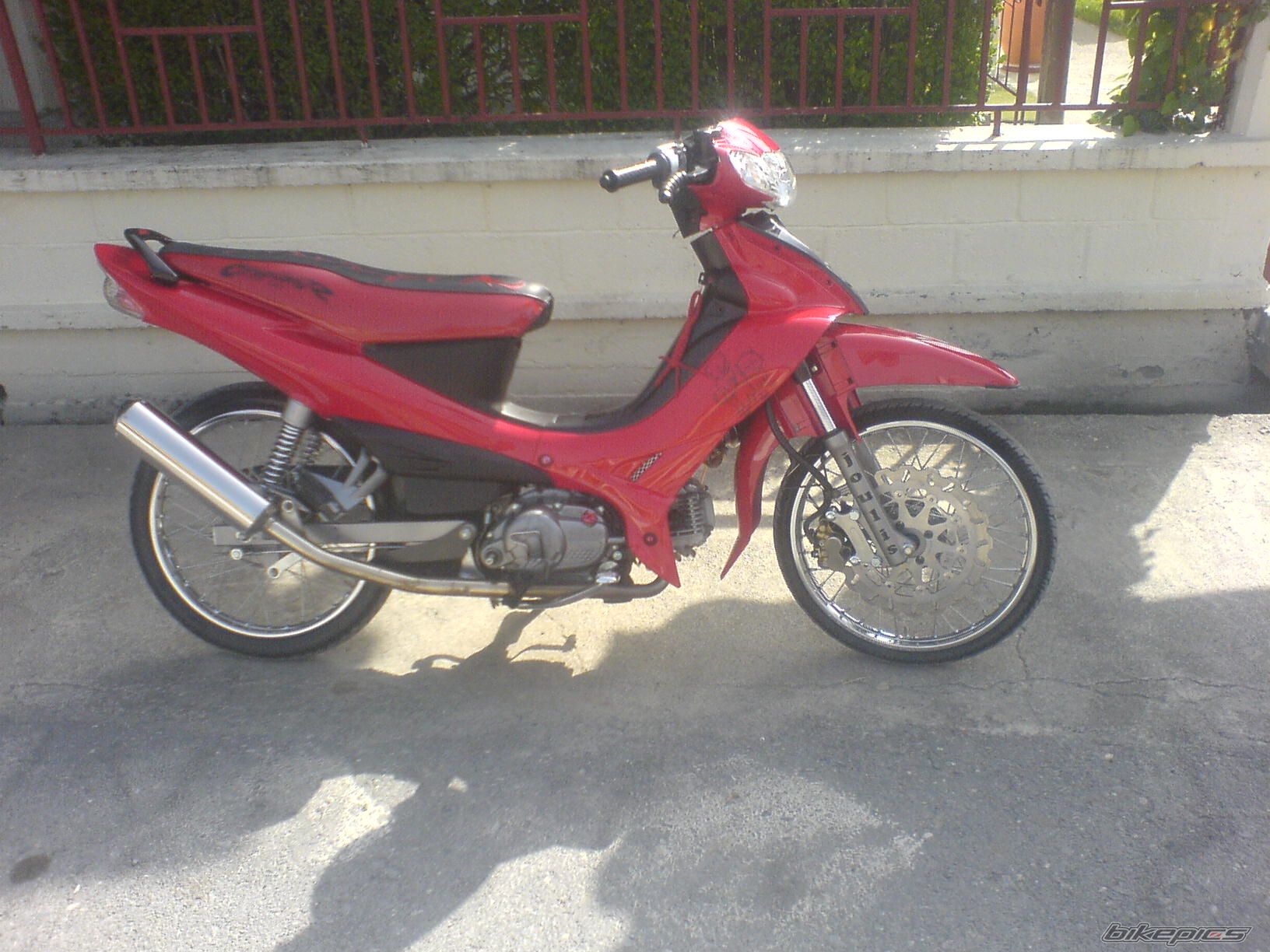 Photo 1265773
