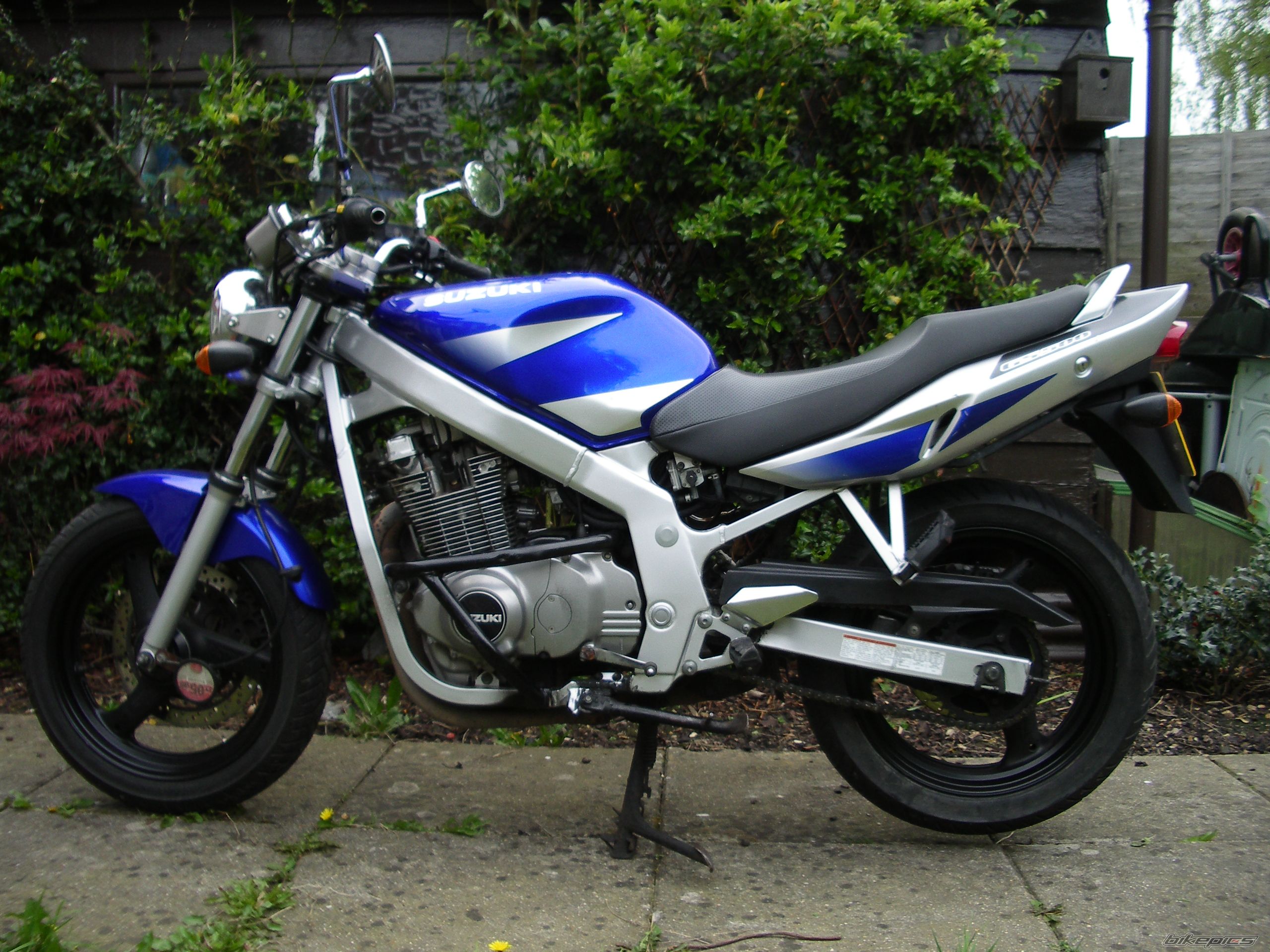 Photo 1265774