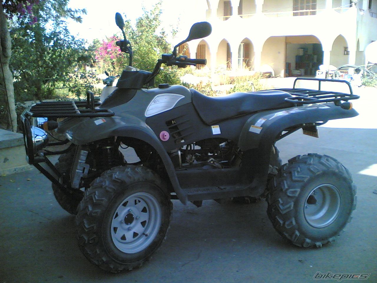 Photo 1265778