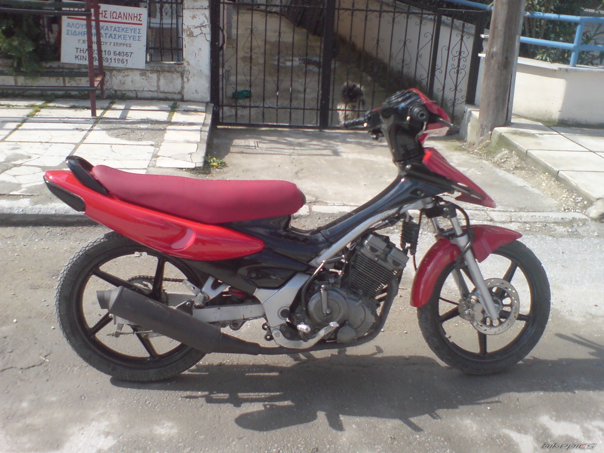 Photo 1265811