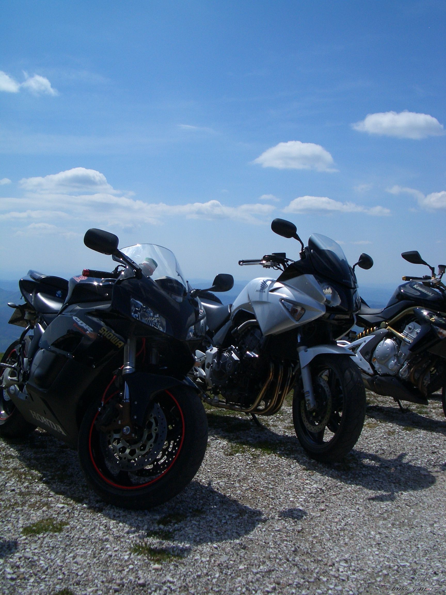Photo 1265864