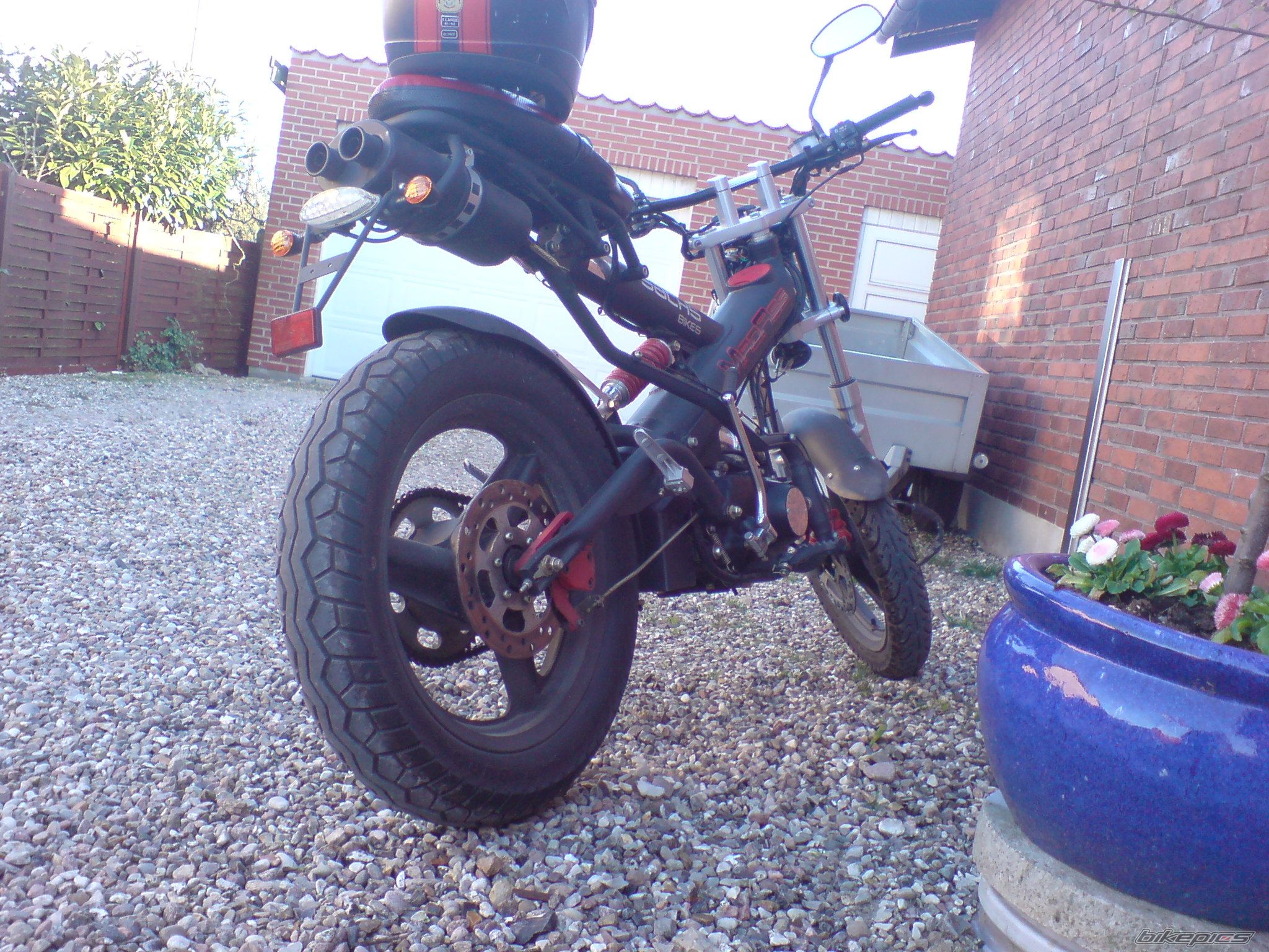 Photo 1265883
