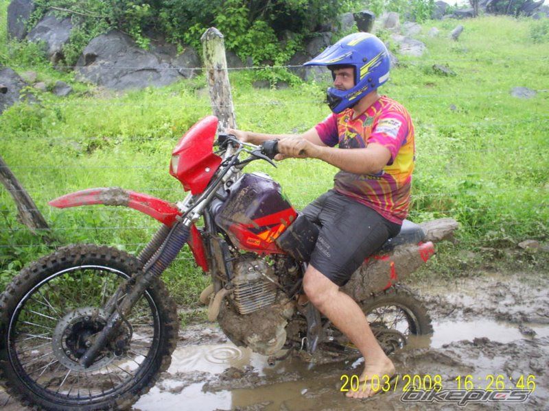 Photo 1265886