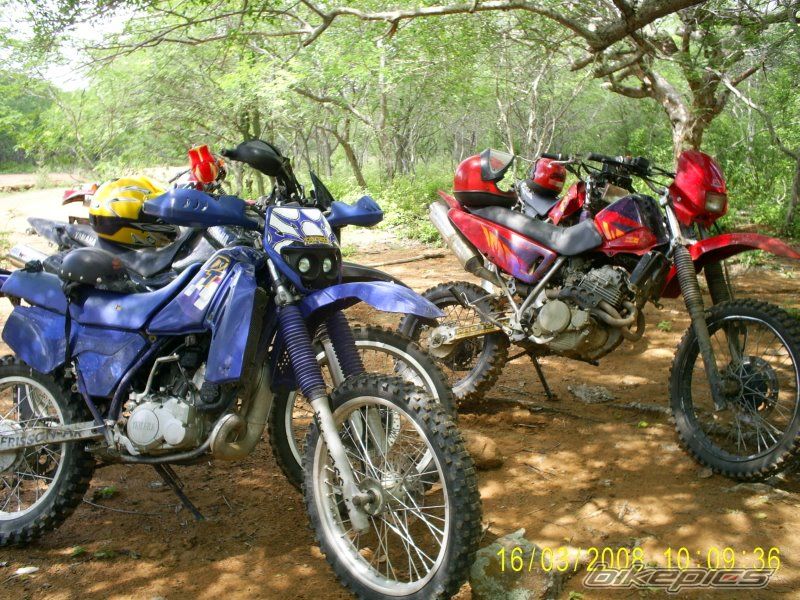 Bike Photo 1265915