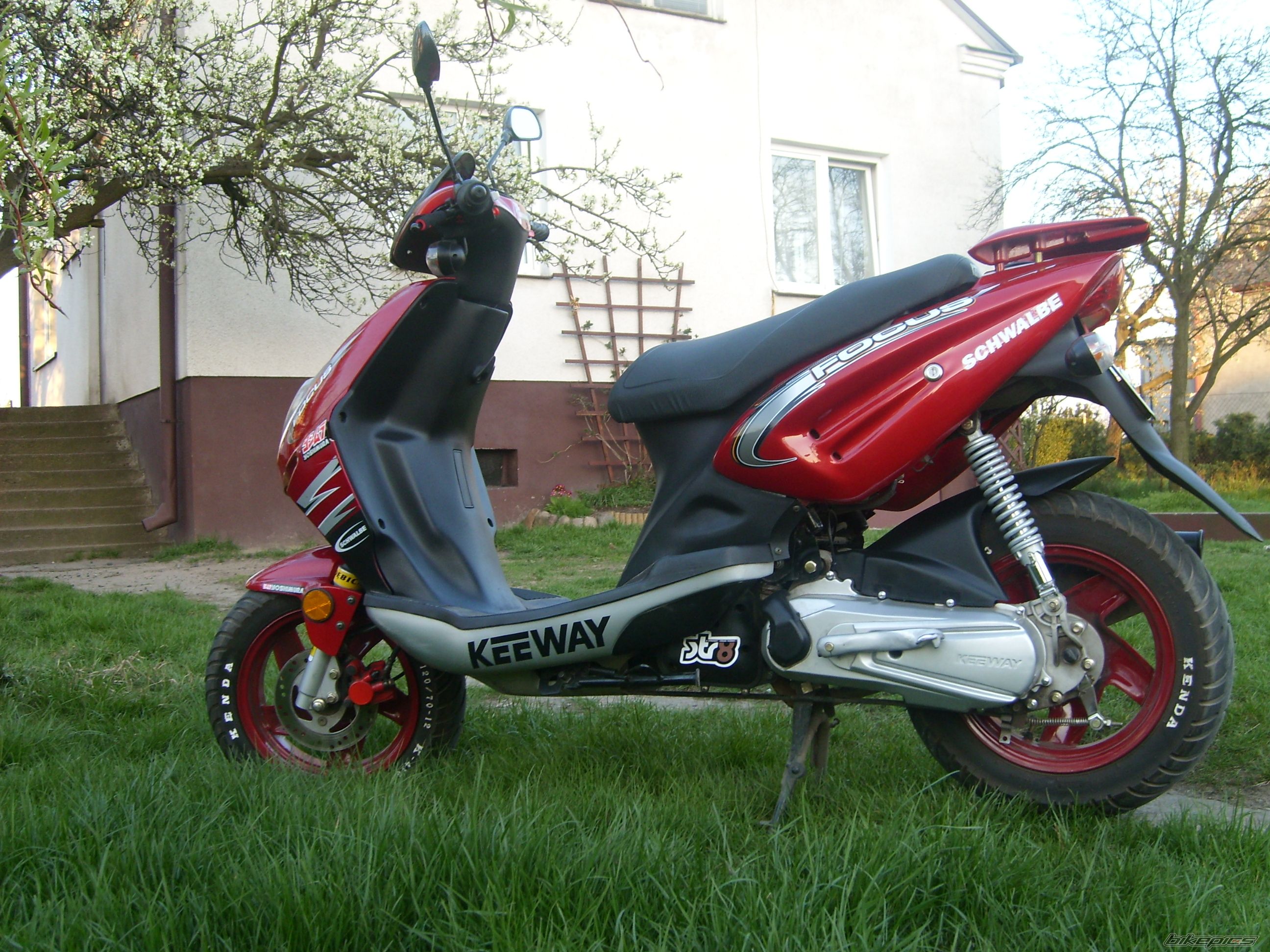 Photo 1266009