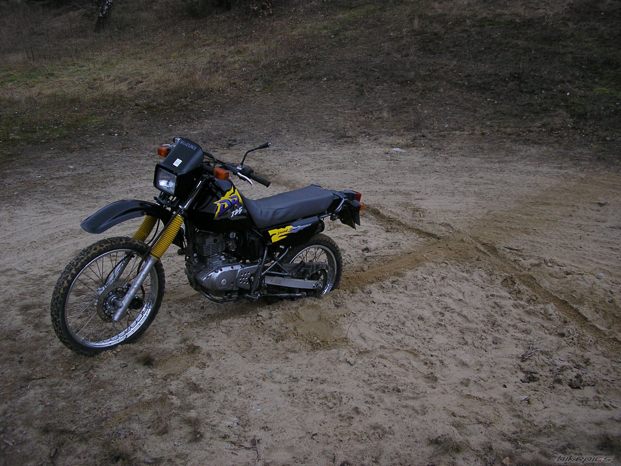 Photo 1266018