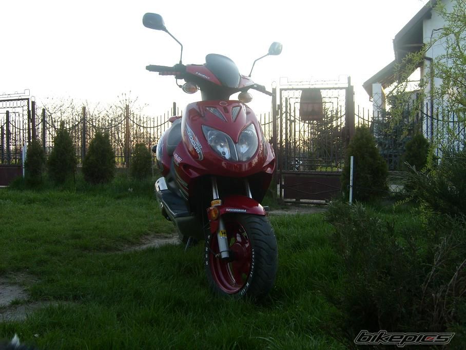 Photo 1266021