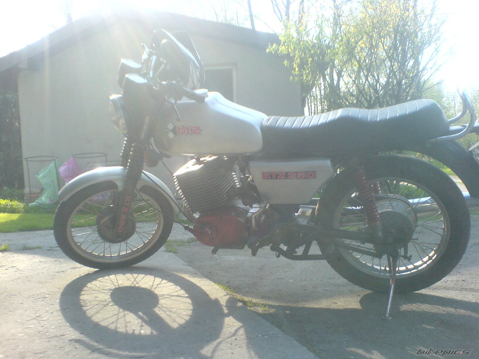 Photo 1266086