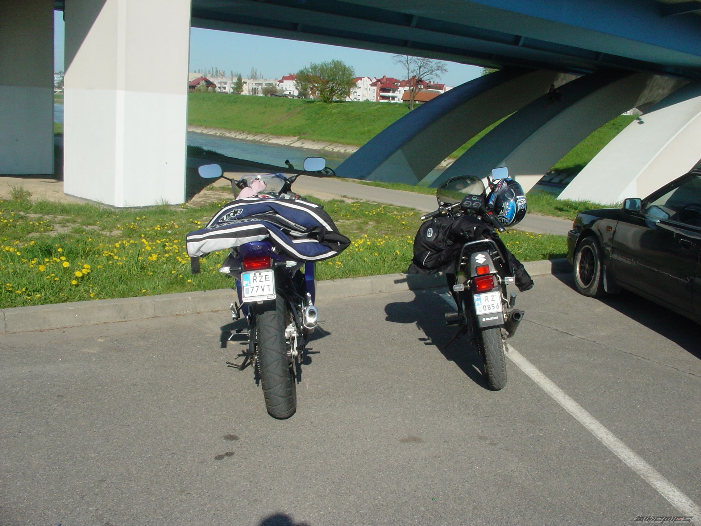 Photo 1266095