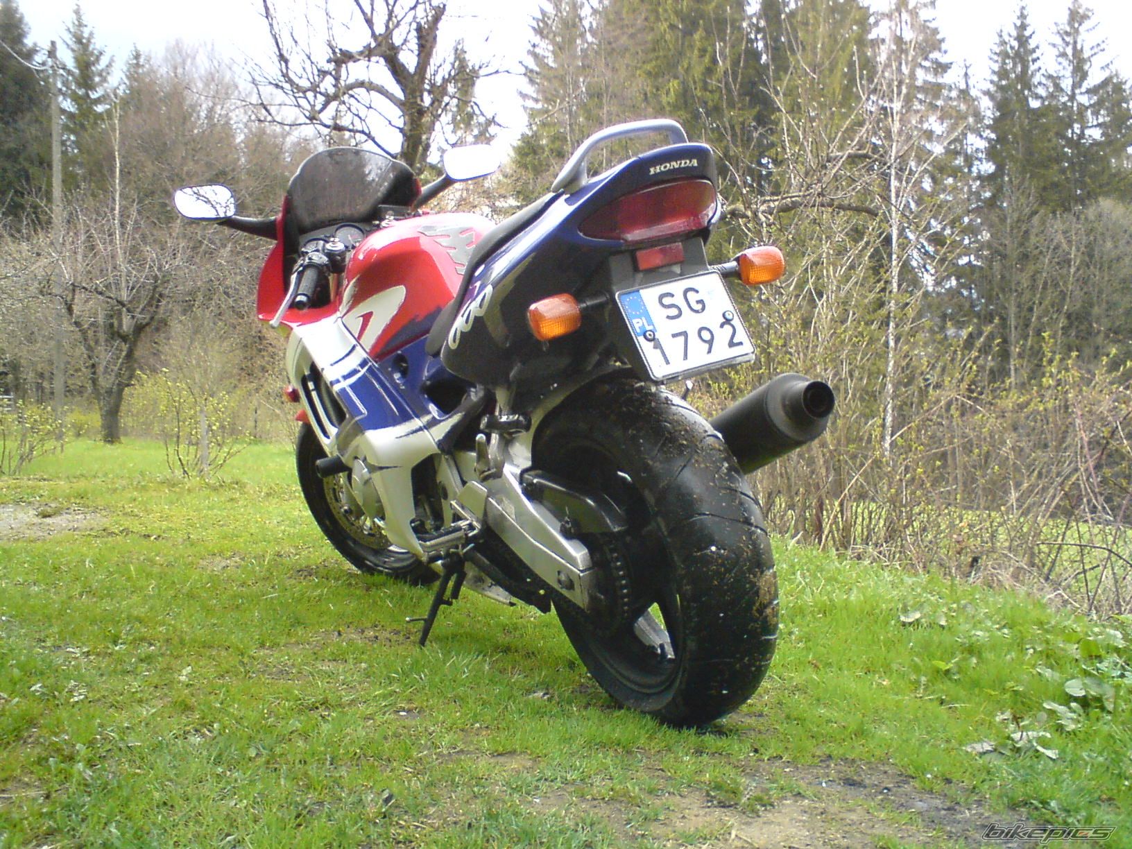 Photo 1266097