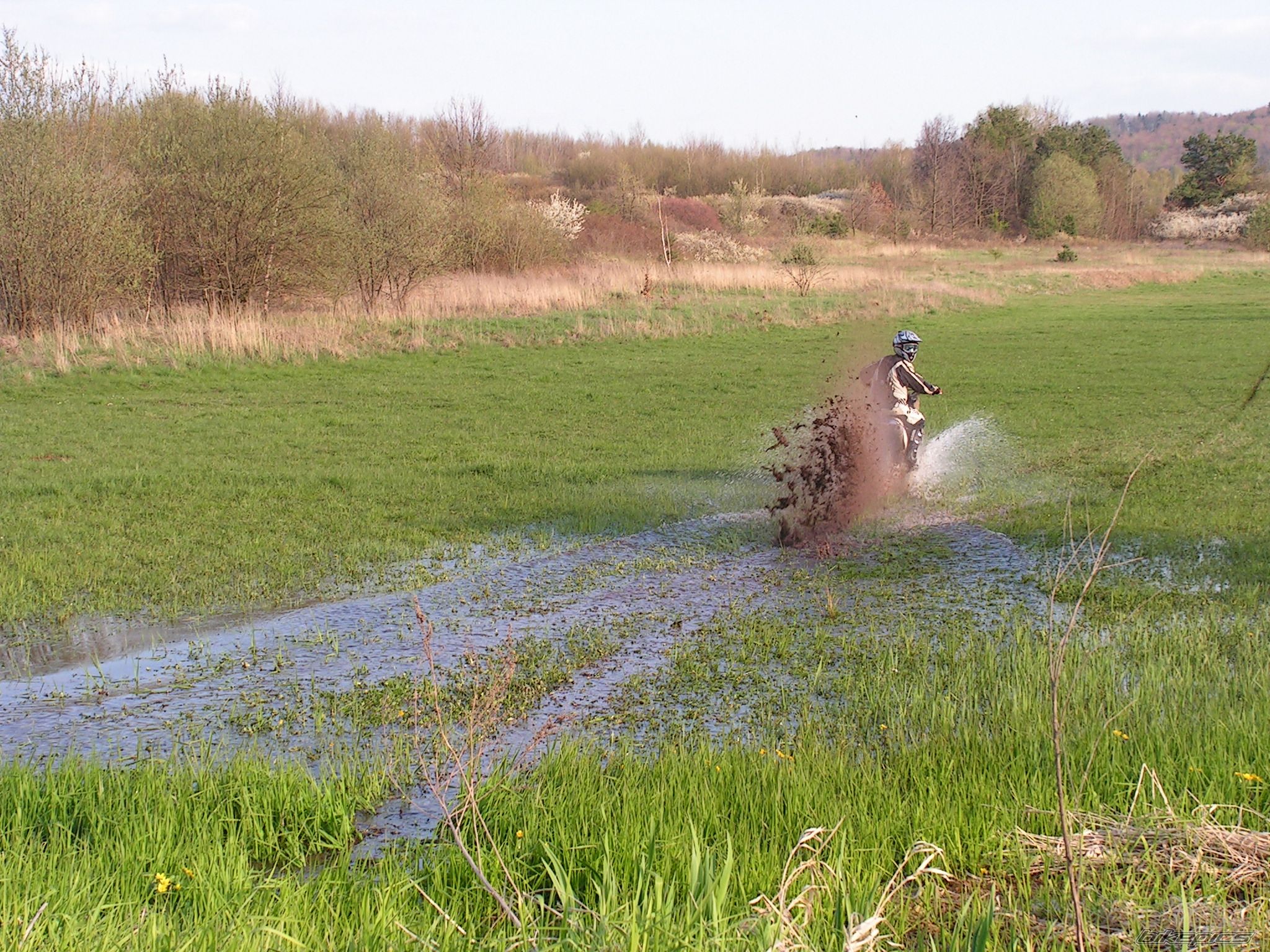 Photo 1266129