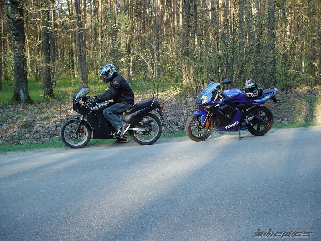 Photo 1266158