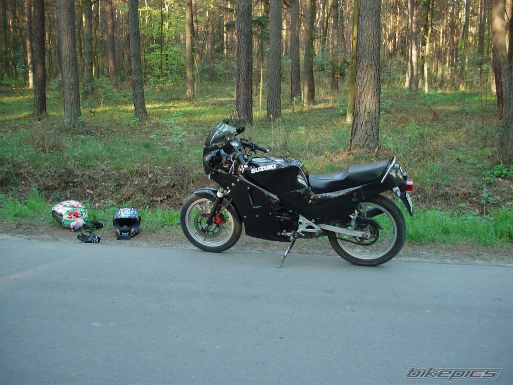 Photo 1266160