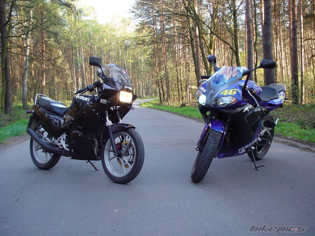 Photo 1266163