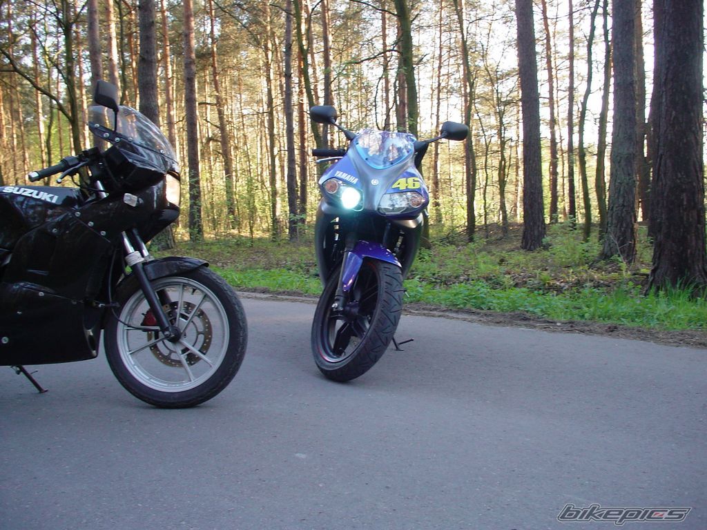 Photo 1266164