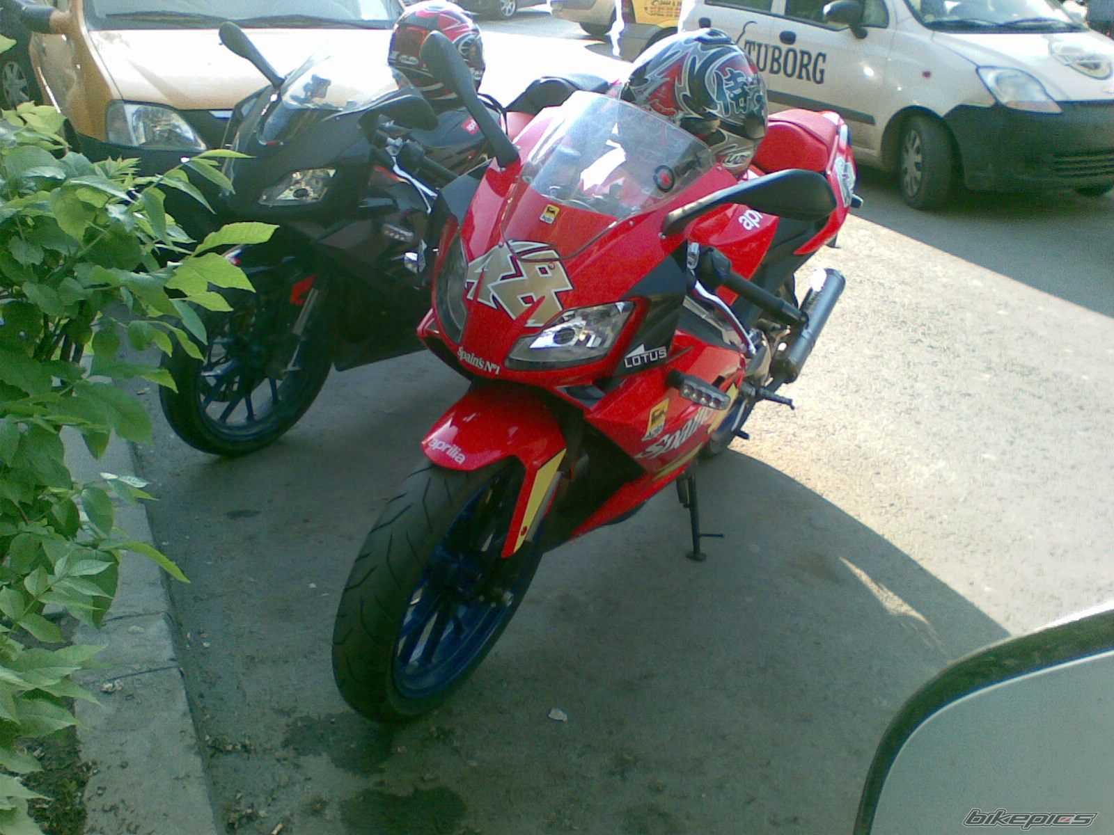 Photo 1266181