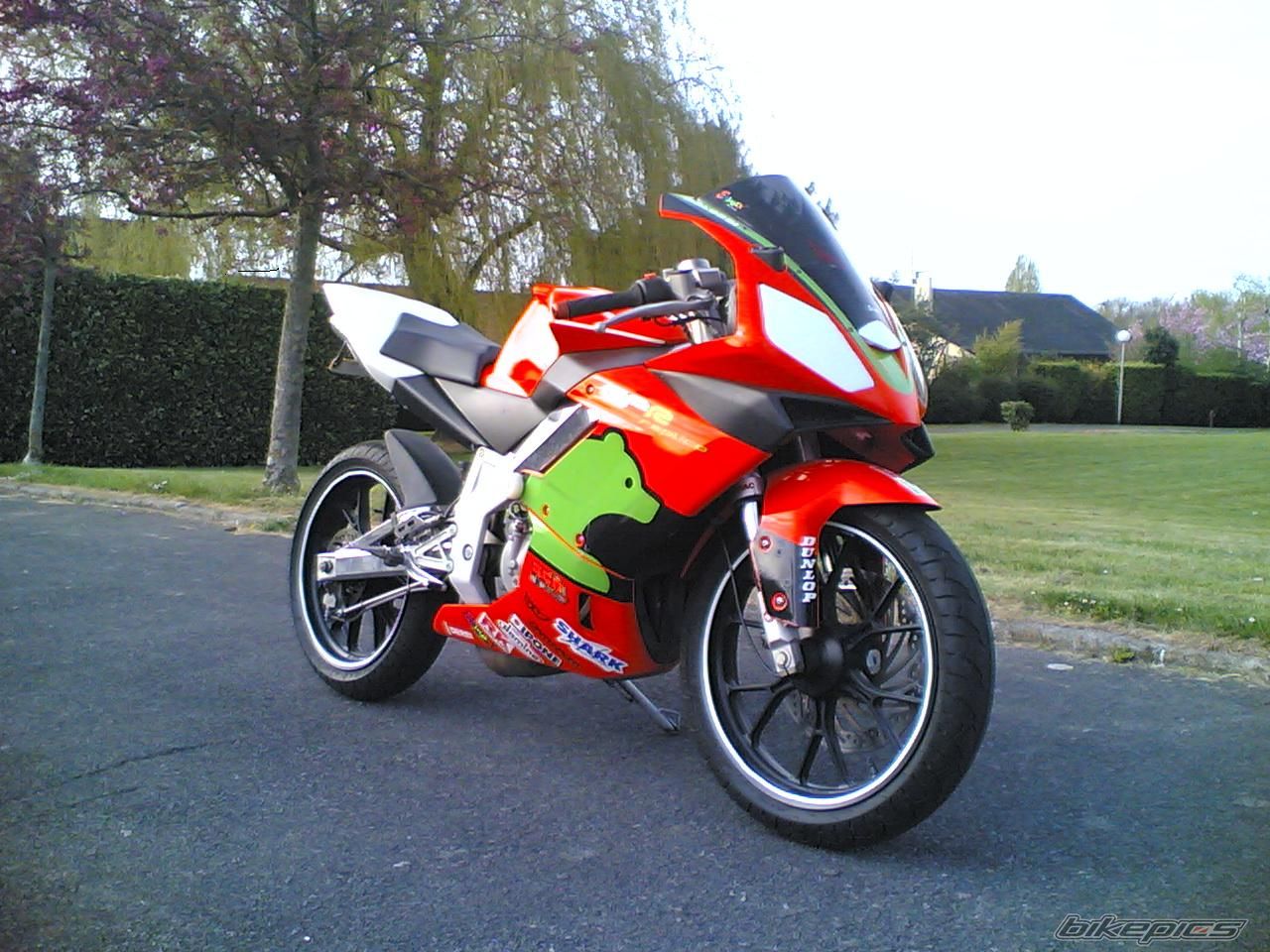 Photo 1266184