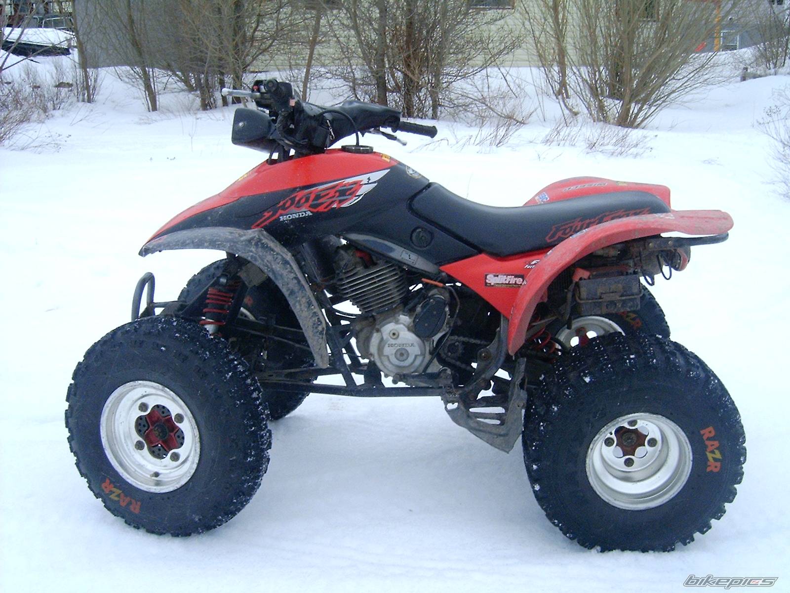 Photo 126622