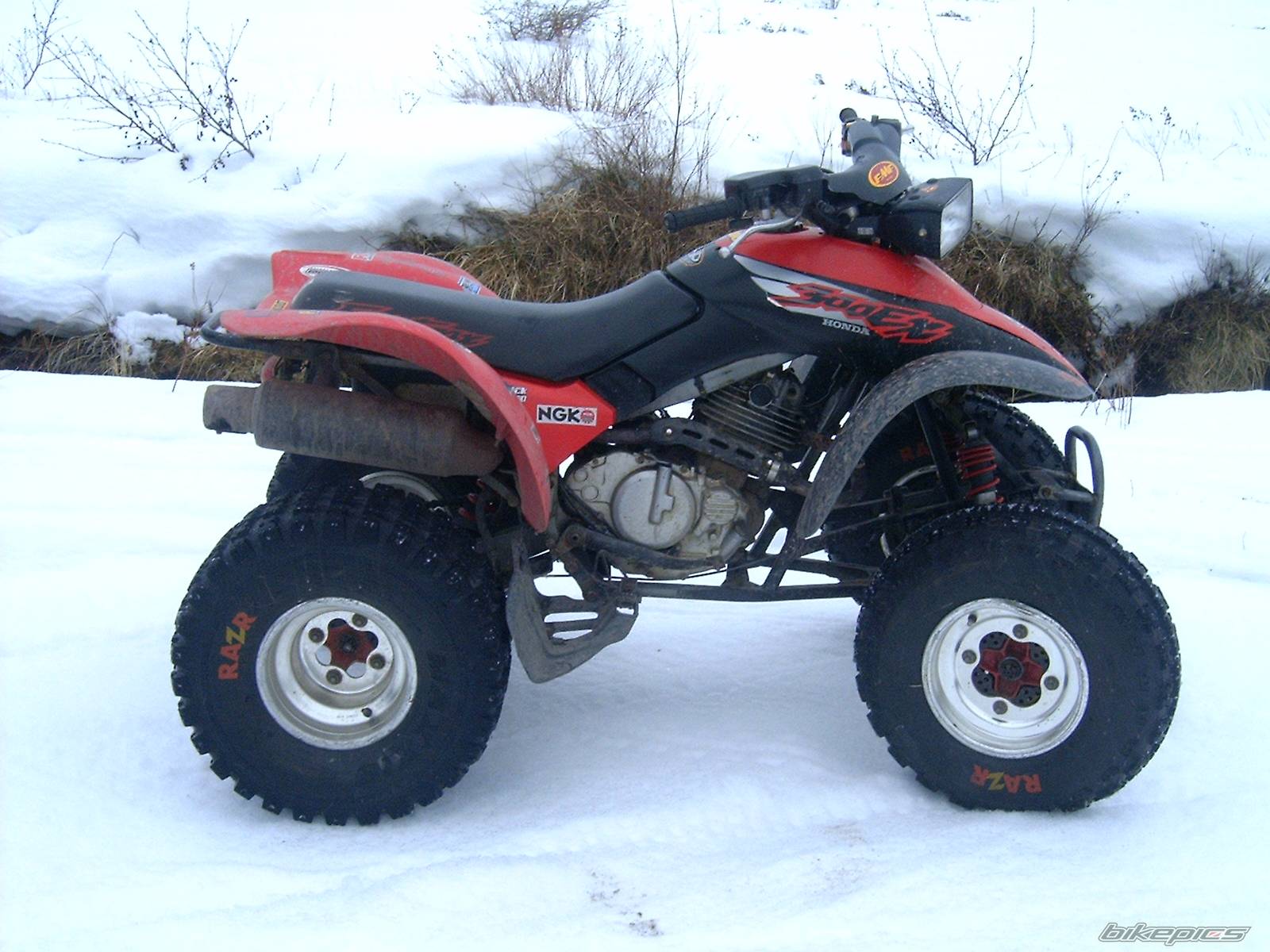 Photo 126624