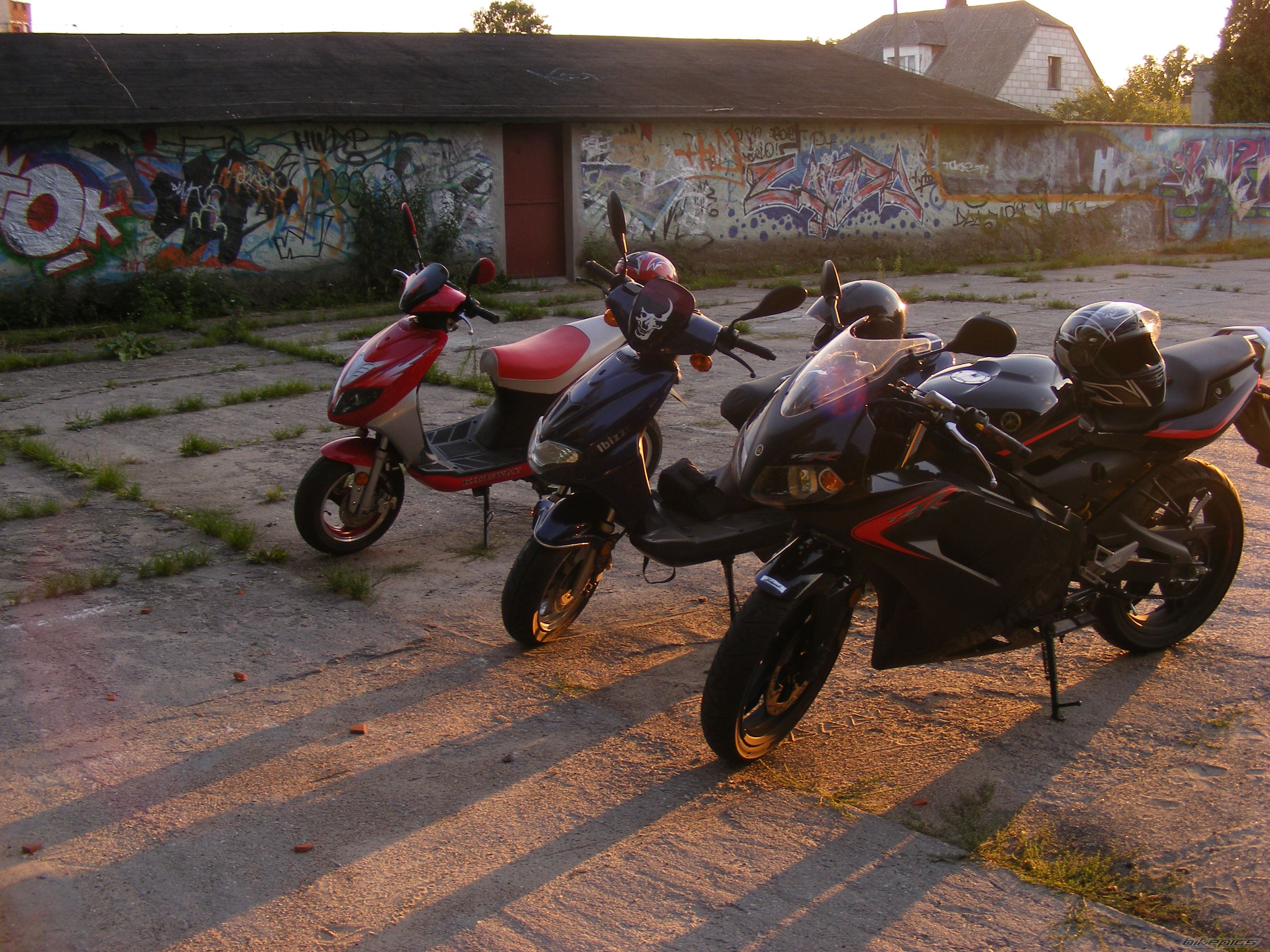 Photo 1266262