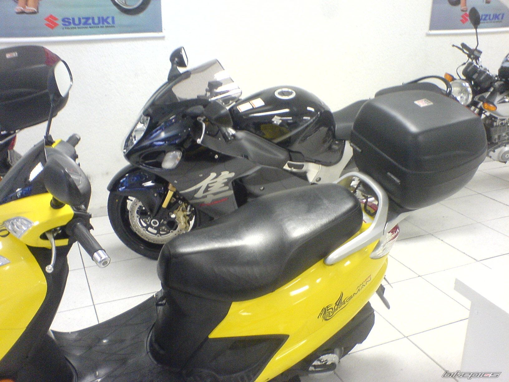 Photo 1266330