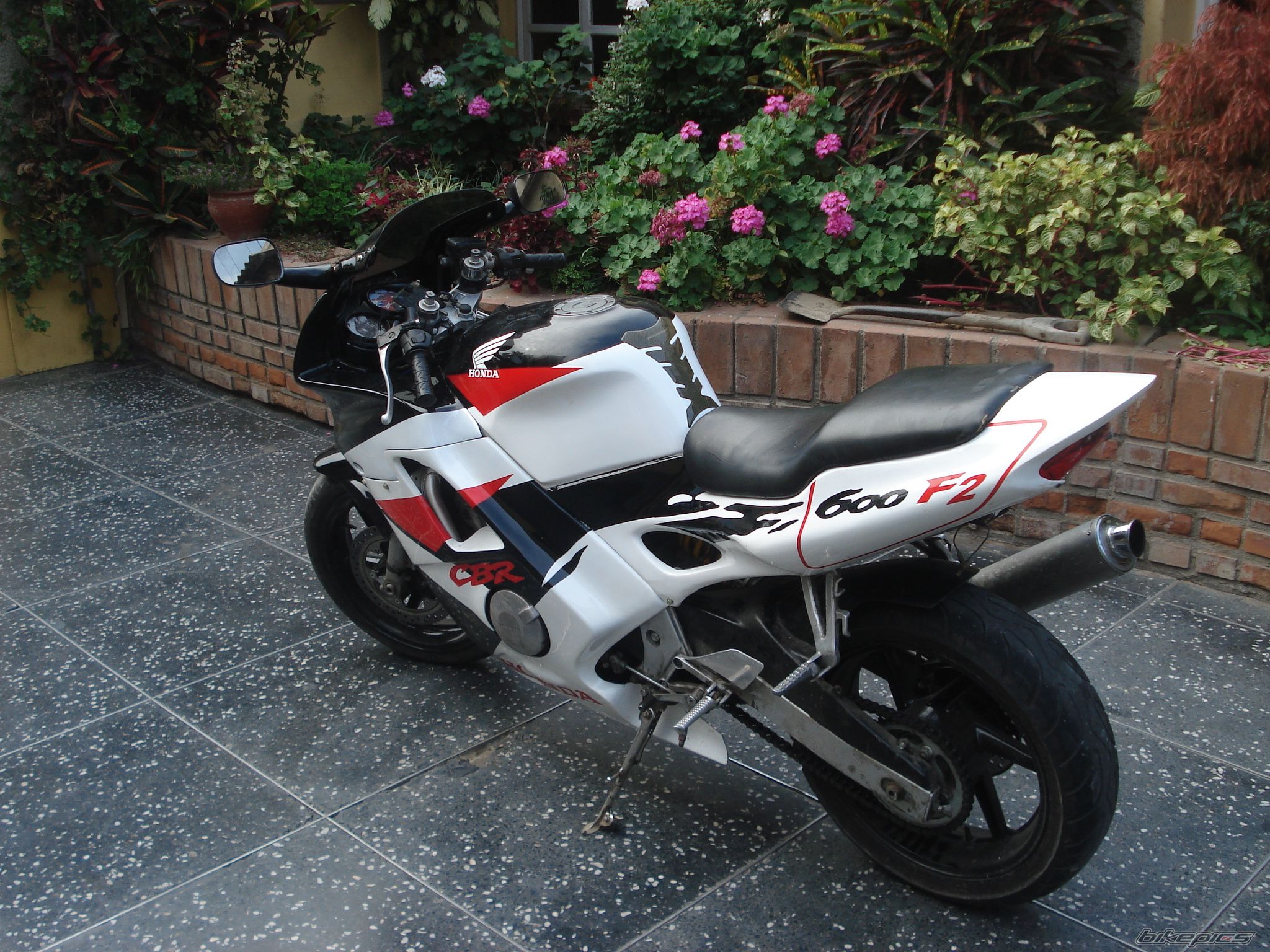 Photo 1266341